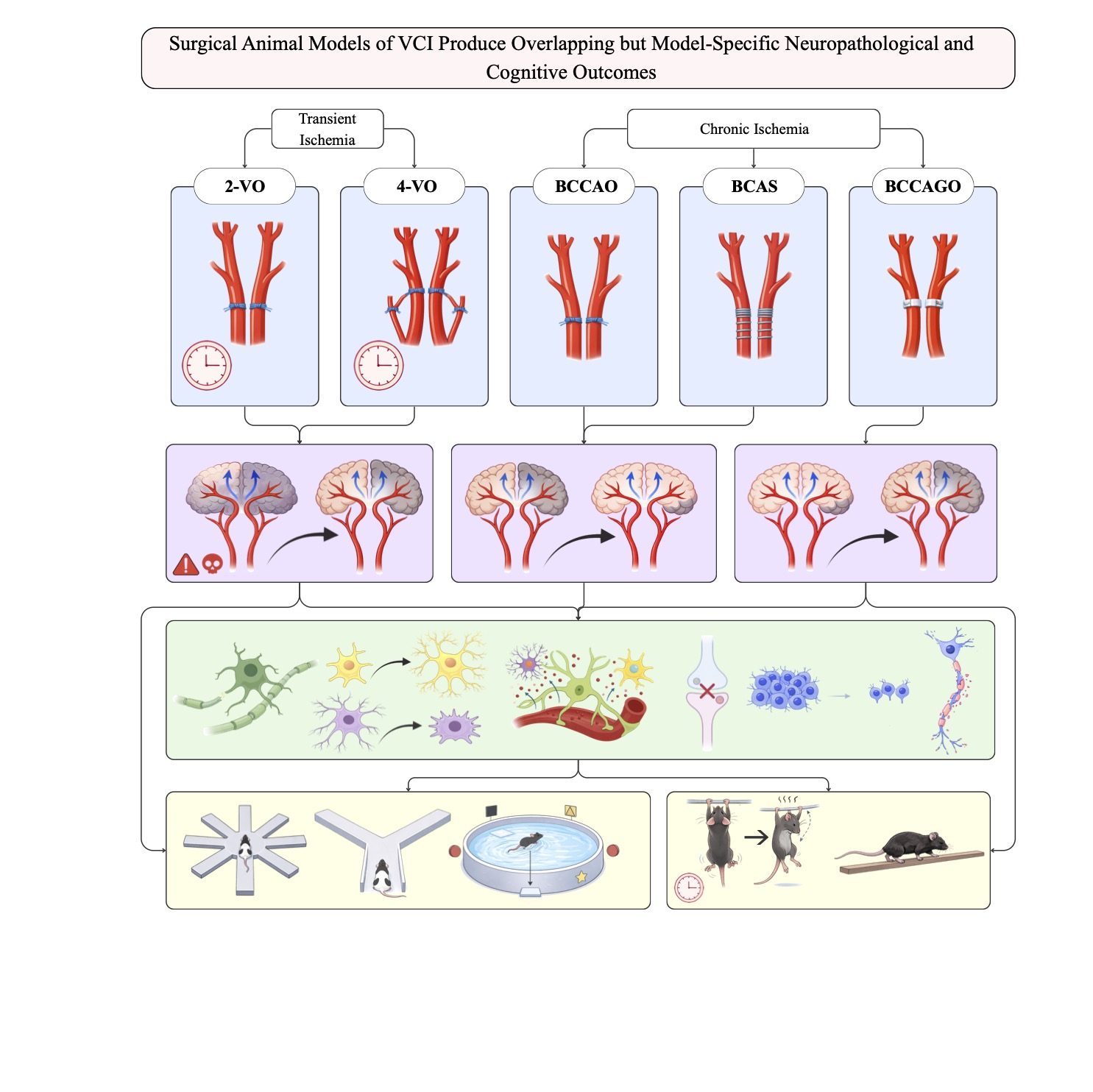 From Artery to Memory: A Comparative Review of Vascular Cognitive