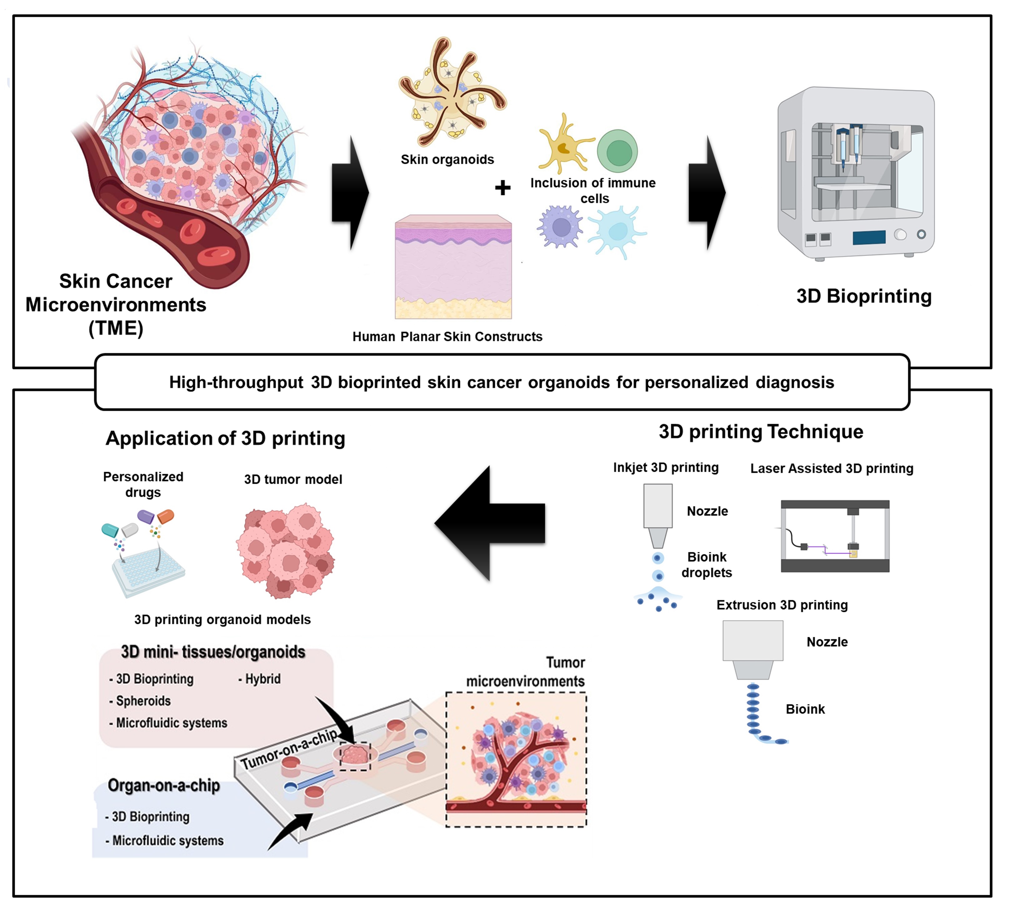 ………… 1/12 Dealer Edition 2024 Porsche 718 (982) Spyder RS