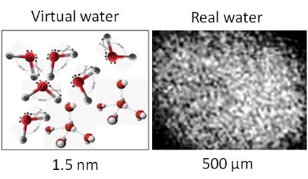 Virtual and Real Water. What is the Difference?[v1] | Preprints.org