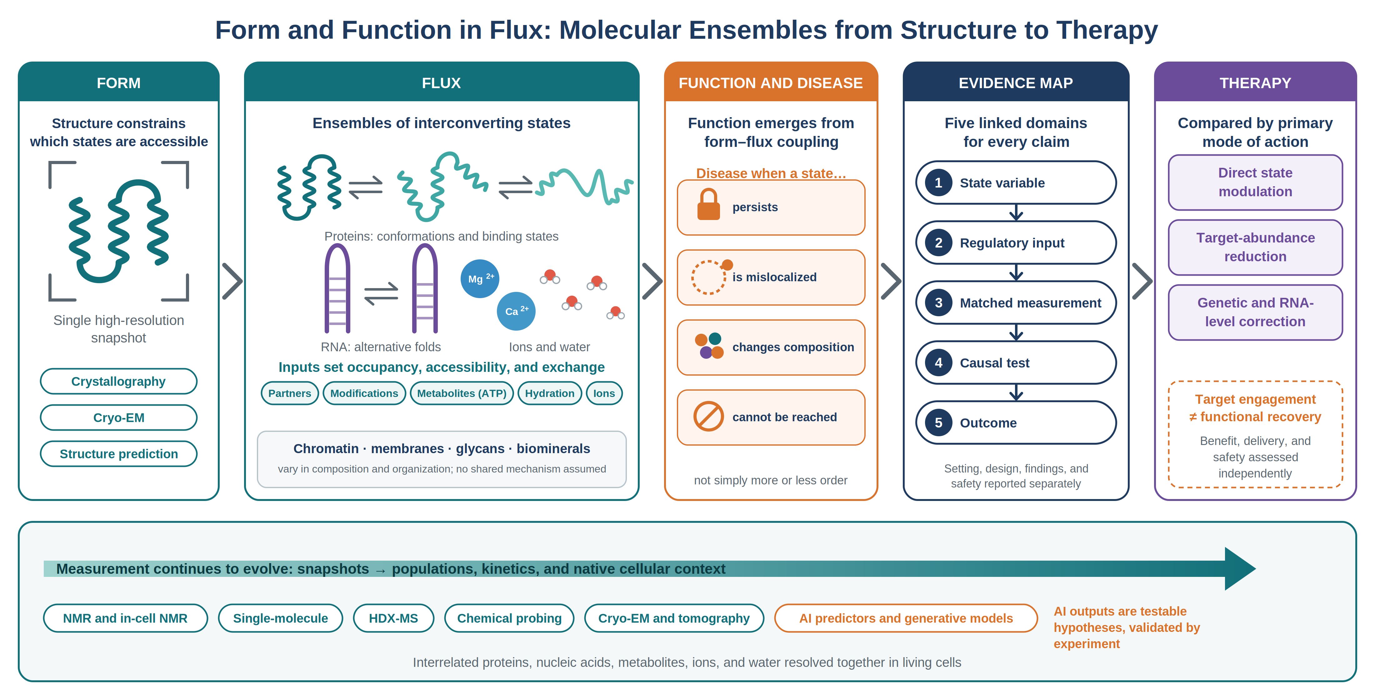Form and Function in Flux: Molecular Ensembles from Structure to ...