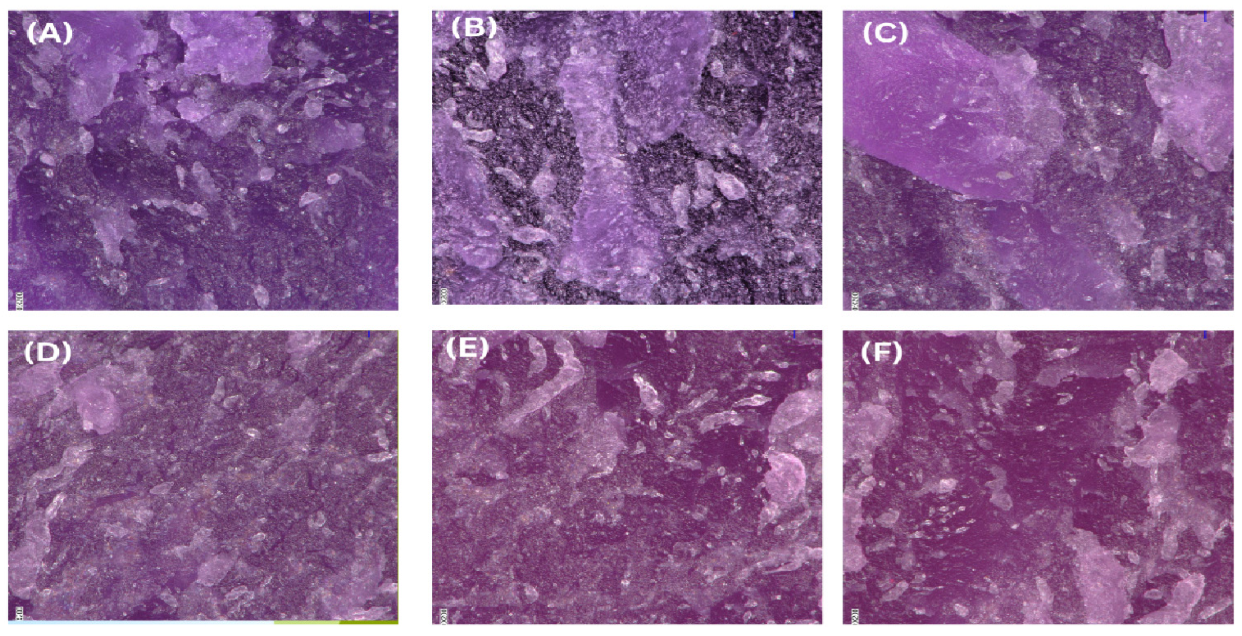 Preprints 153070 g006
