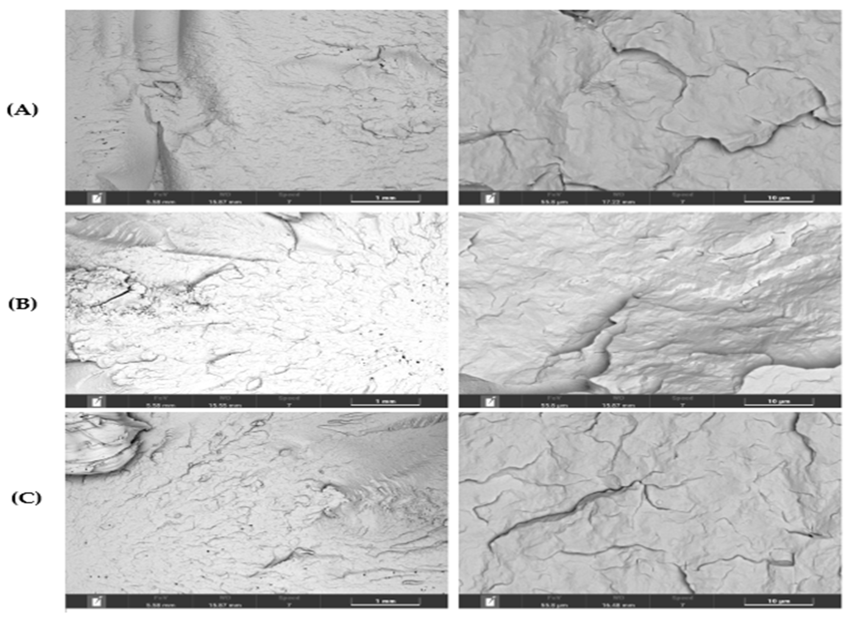 Preprints 153070 g007