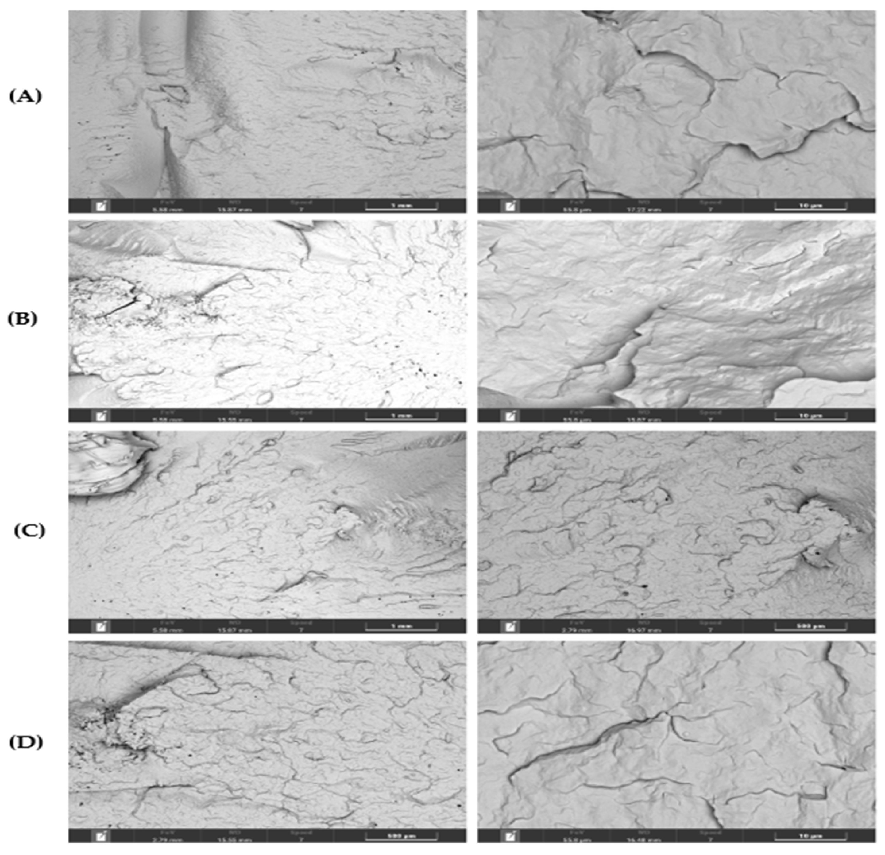 Preprints 153070 g008