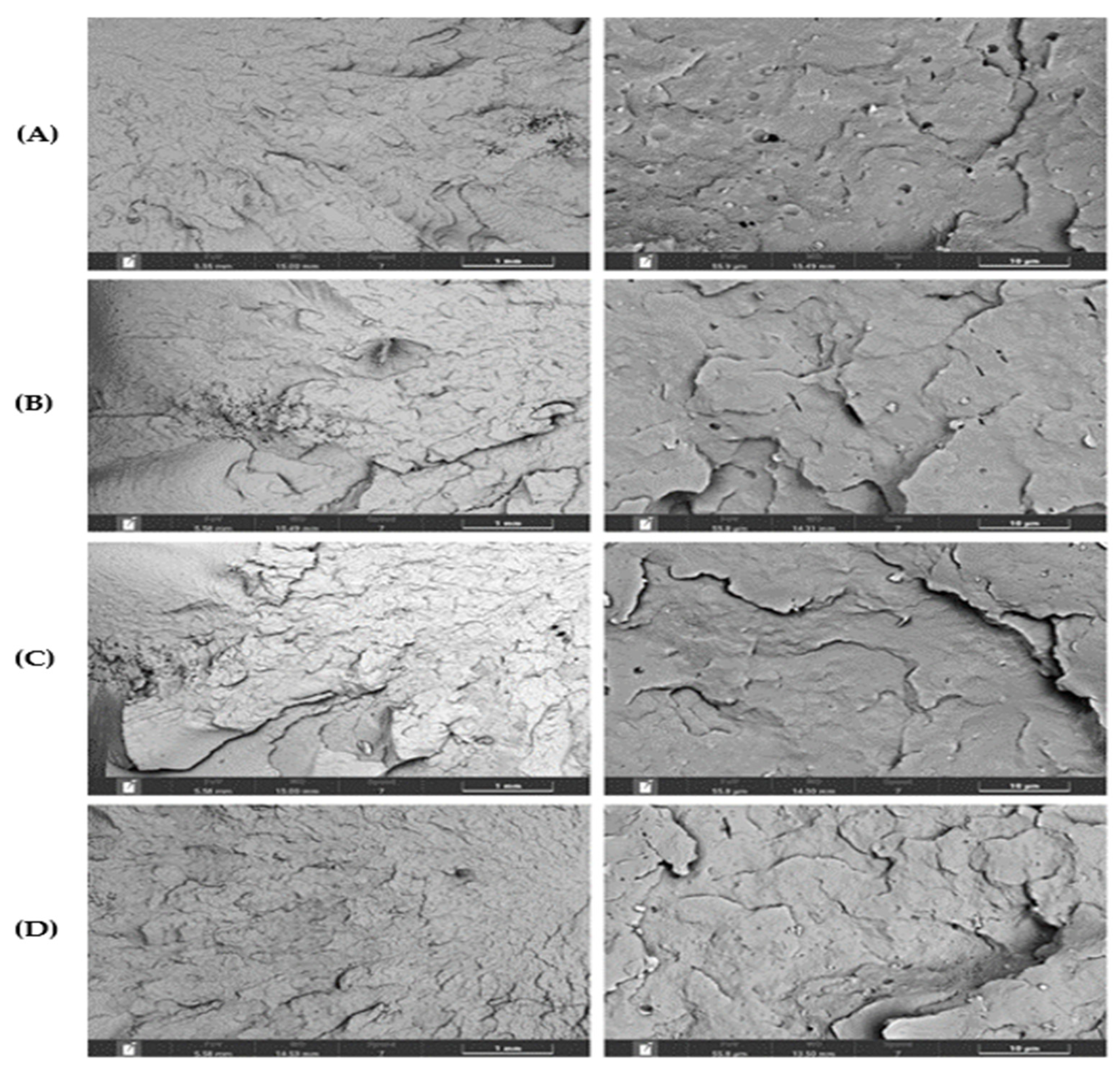 Preprints 153070 g009