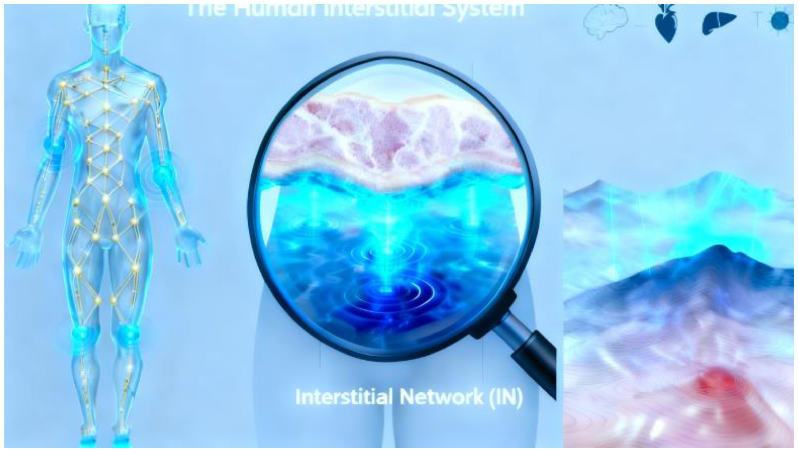 Preprints 180938 g001