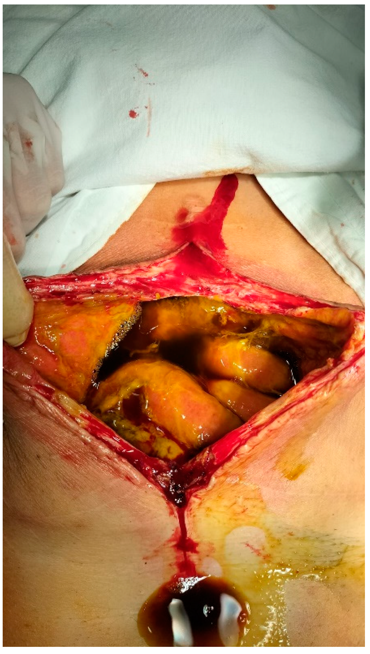 Preprints 146012 g001