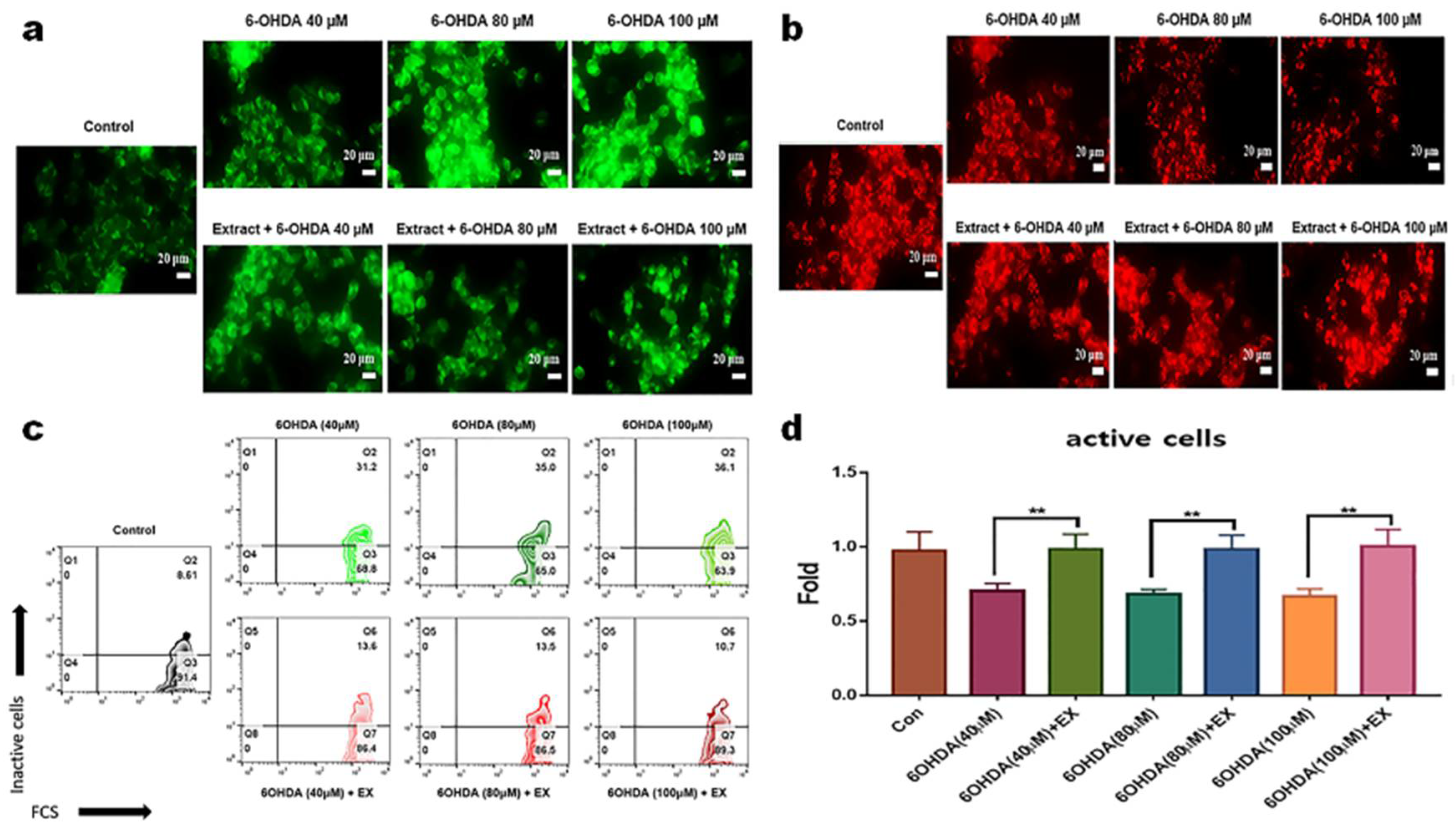 Preprints 105992 g002