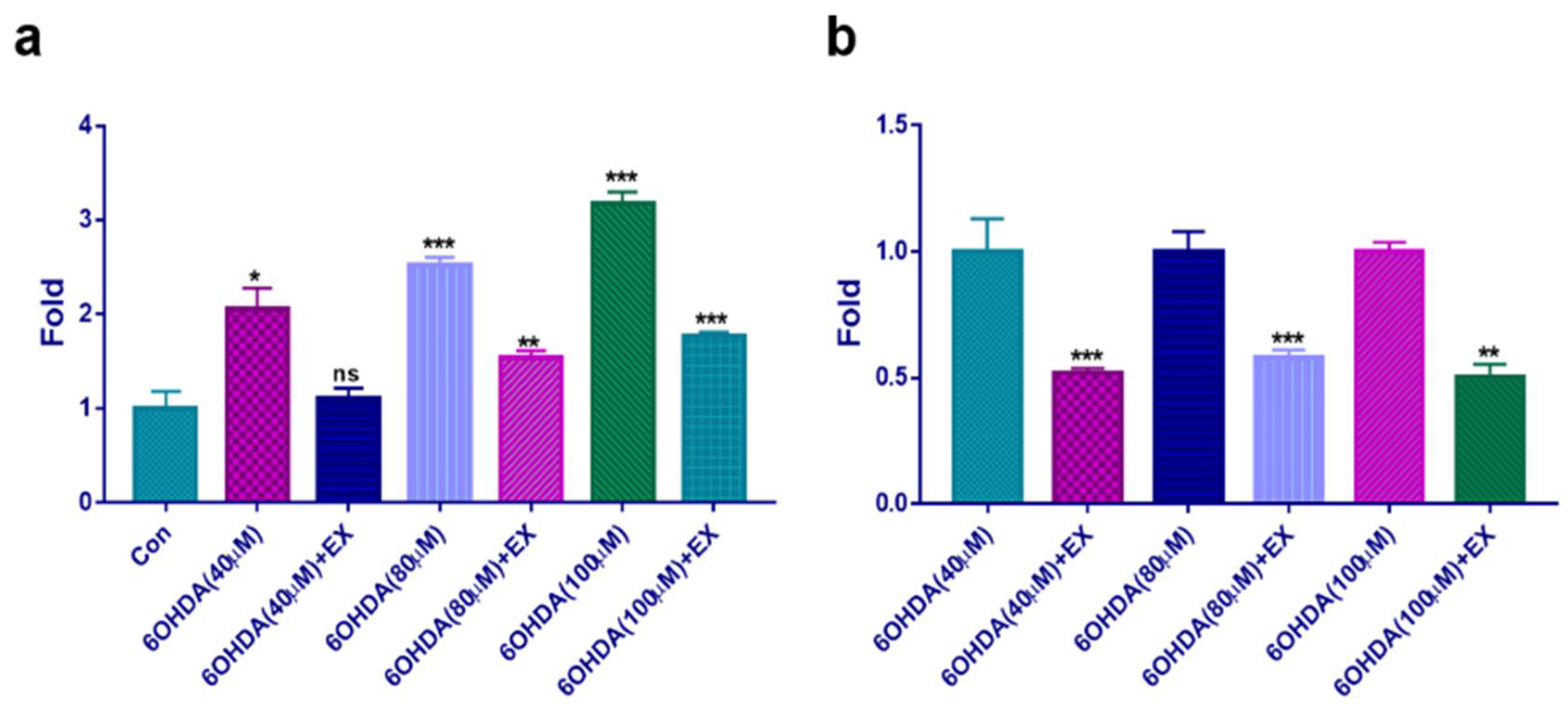 Preprints 105992 g003