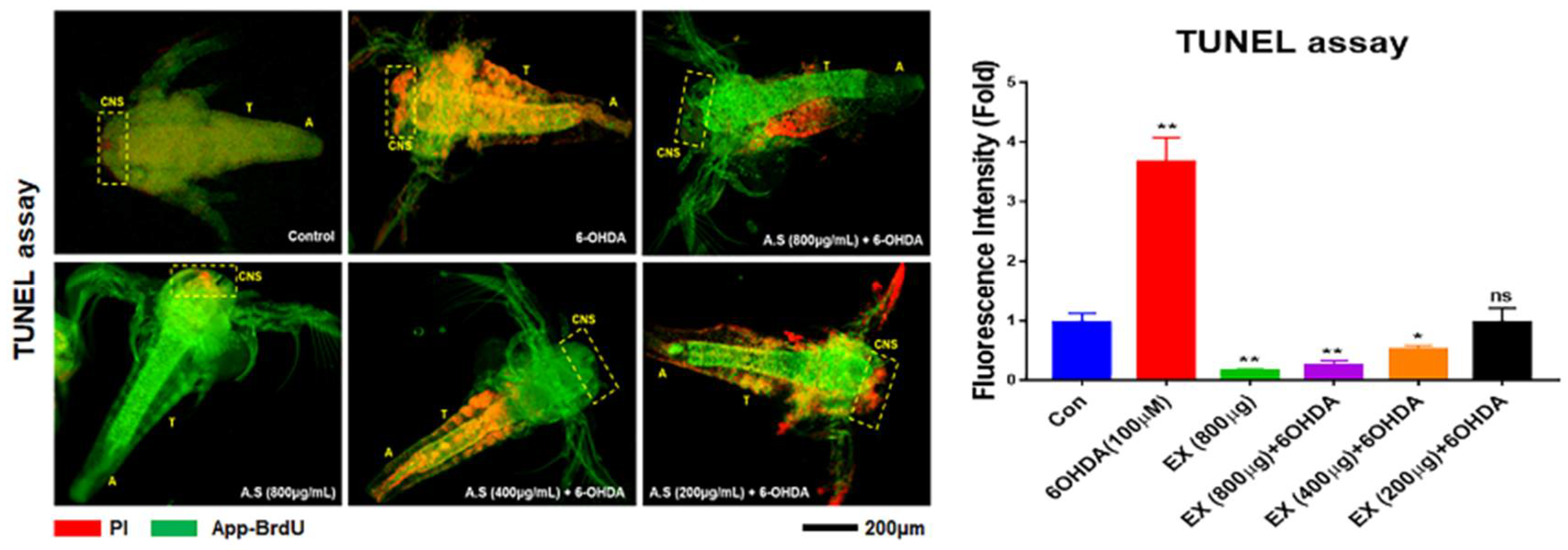 Preprints 105992 g006