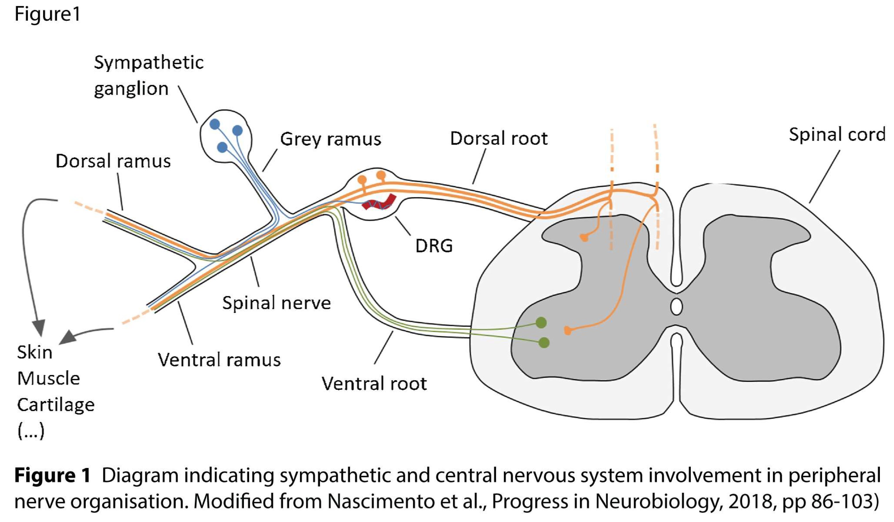 Preprints 194641 g001