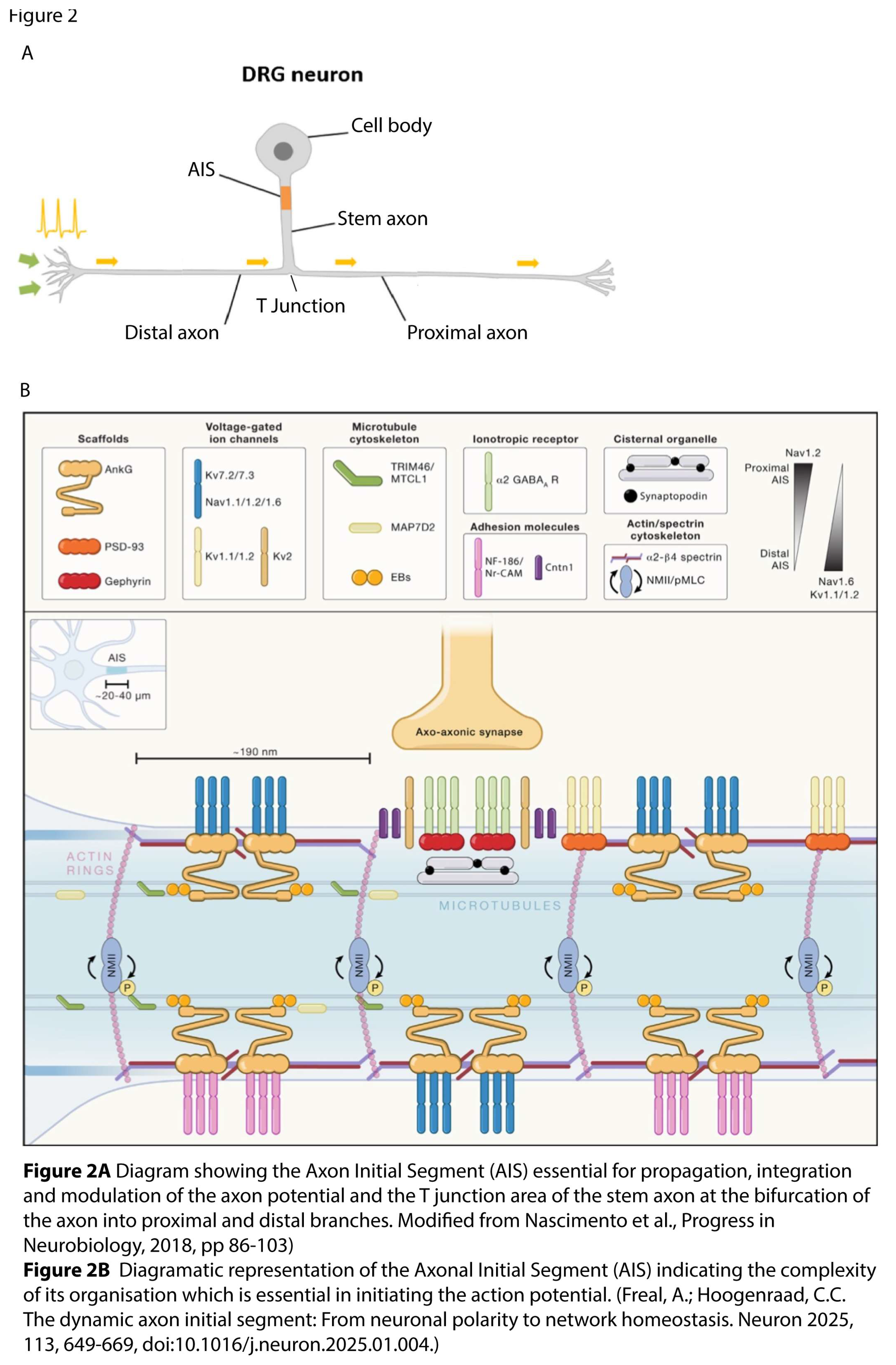 Preprints 194641 g002