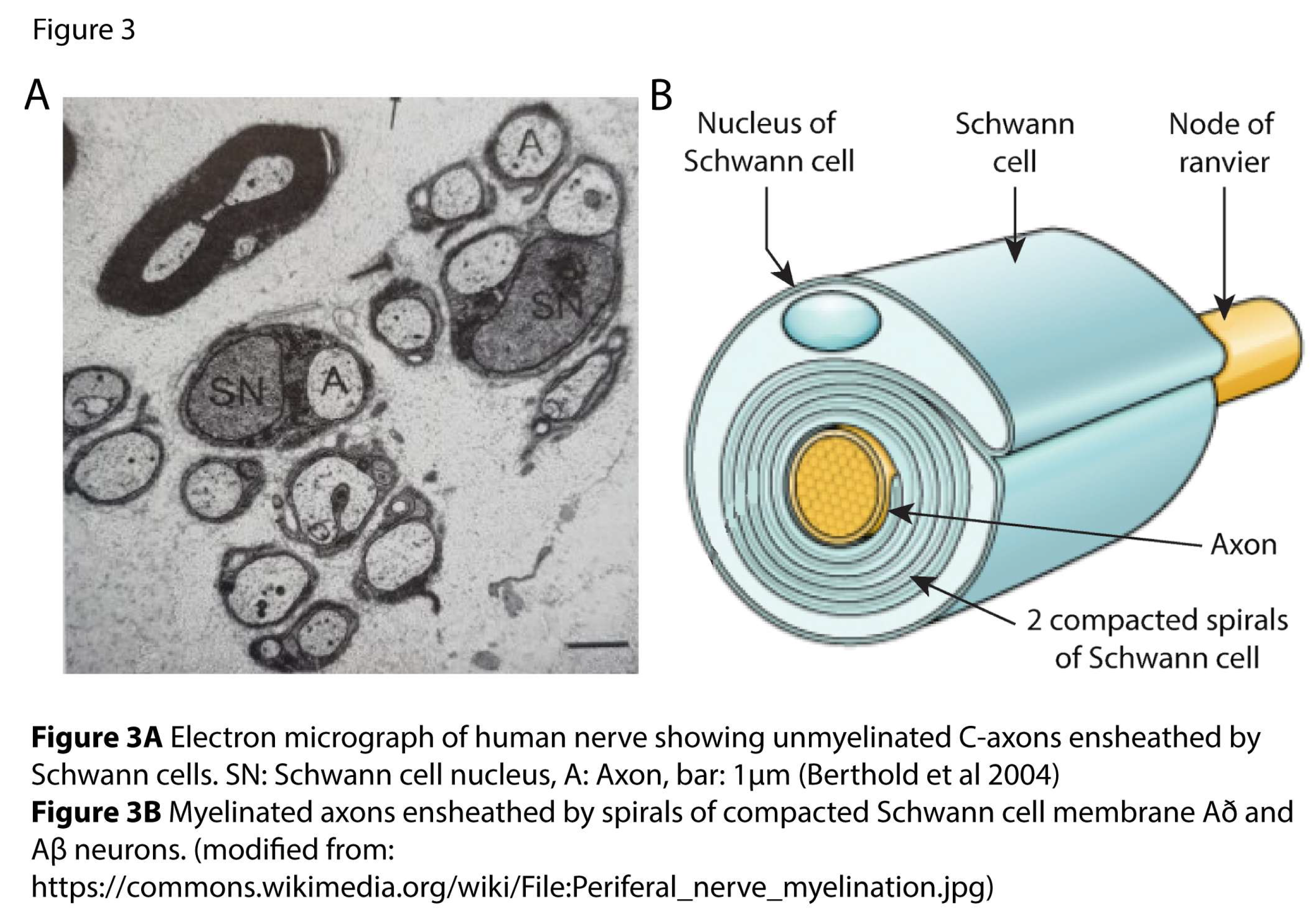 Preprints 194641 g003