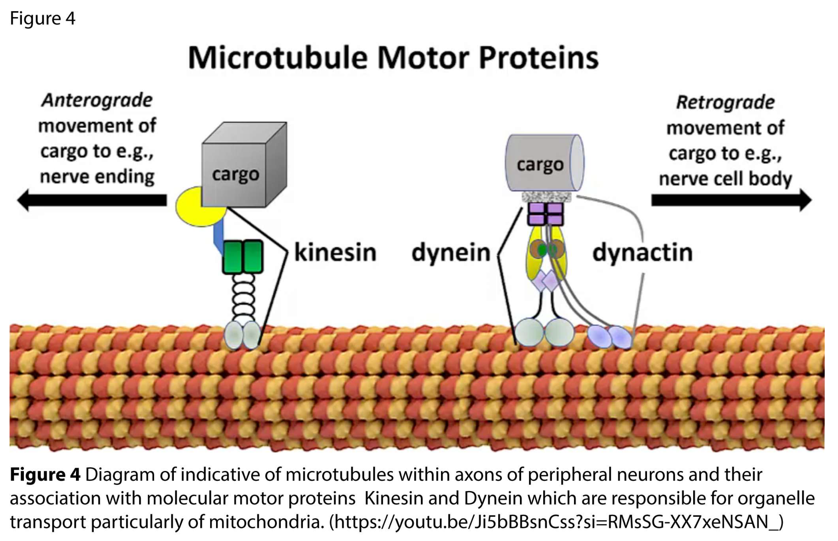 Preprints 194641 g004