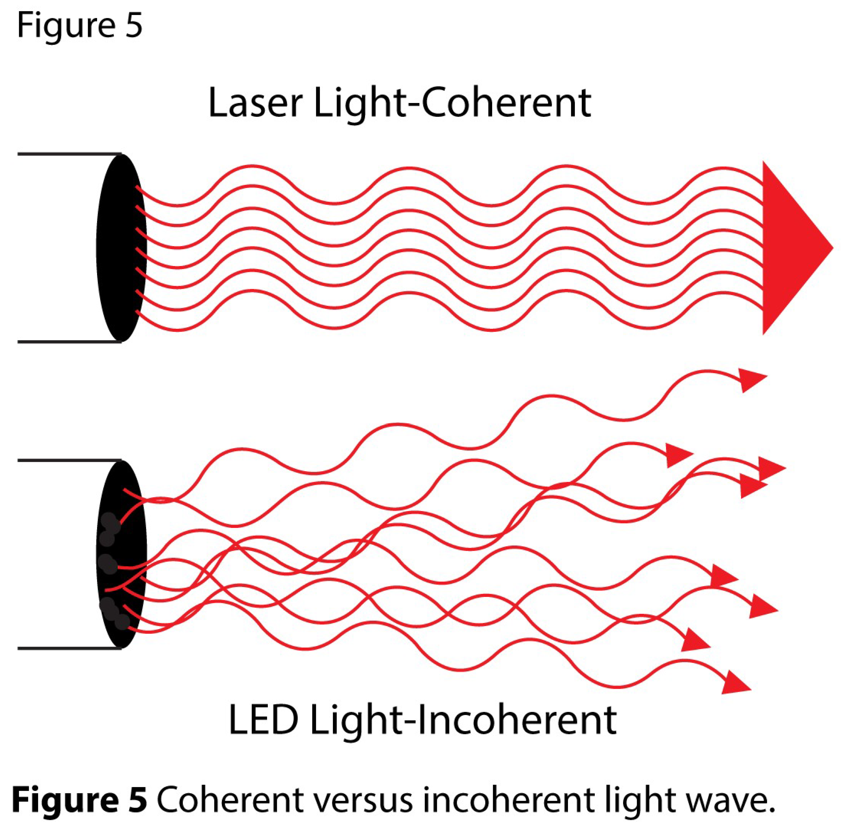 Preprints 194641 g005