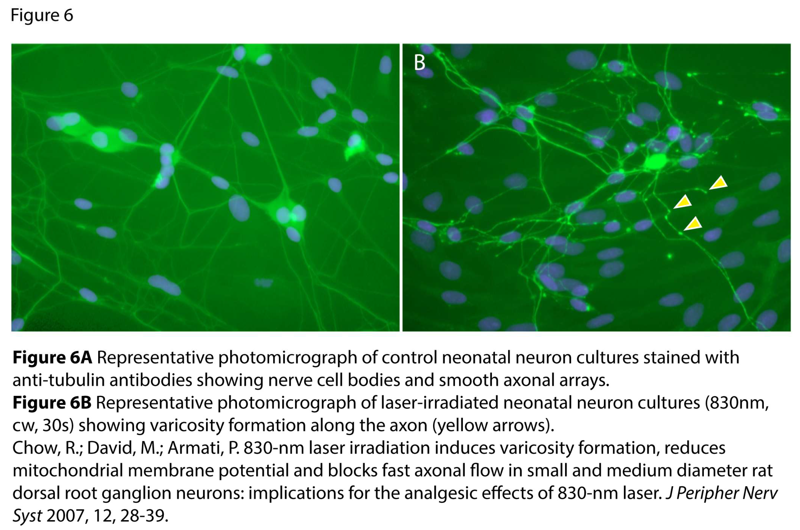 Preprints 194641 g006