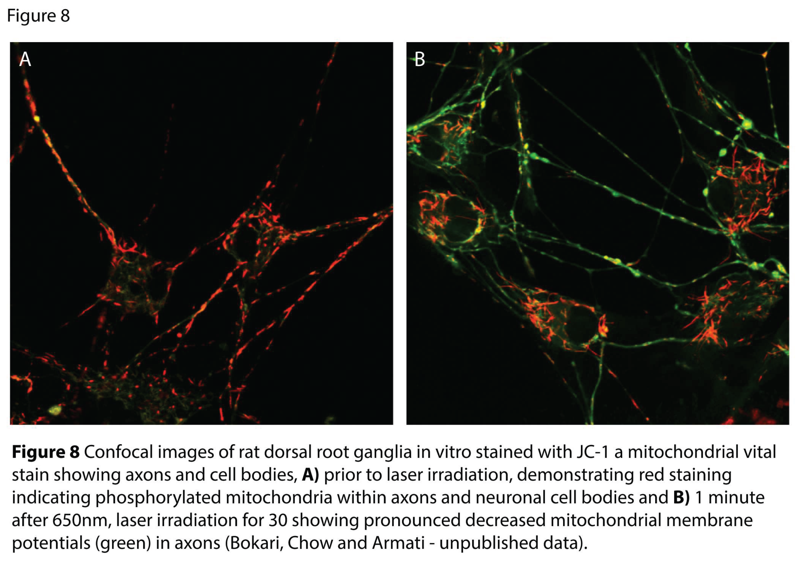 Preprints 194641 g008