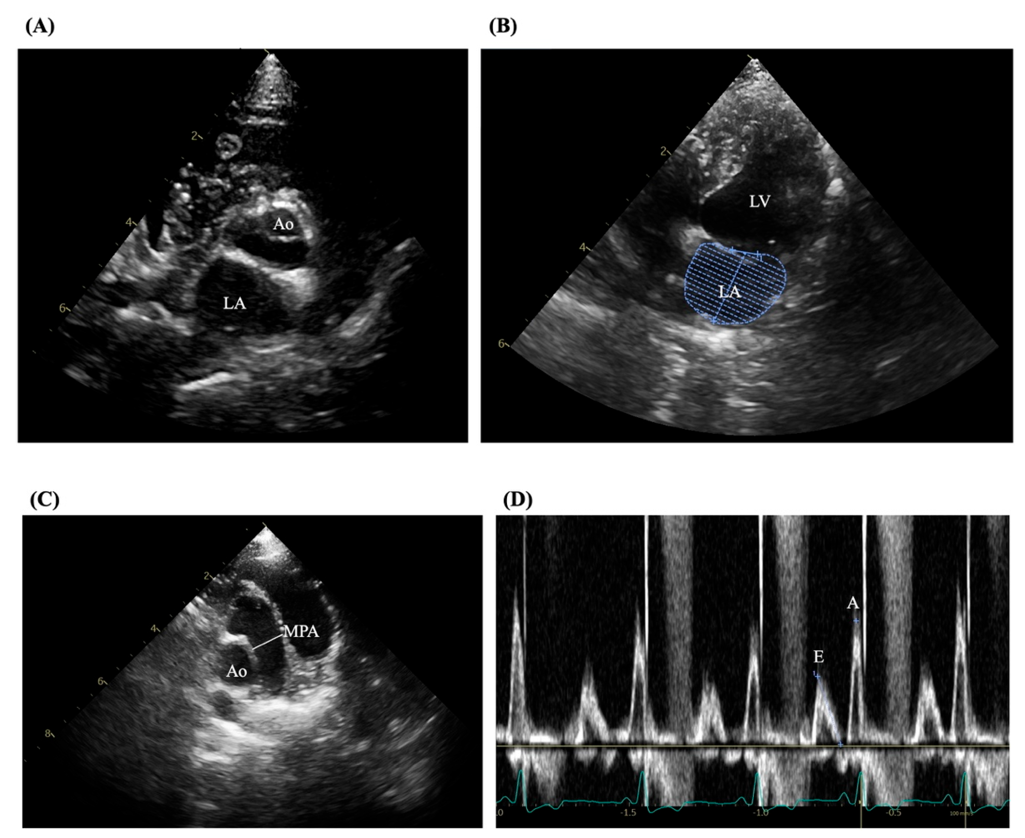 Preprints 172580 g001