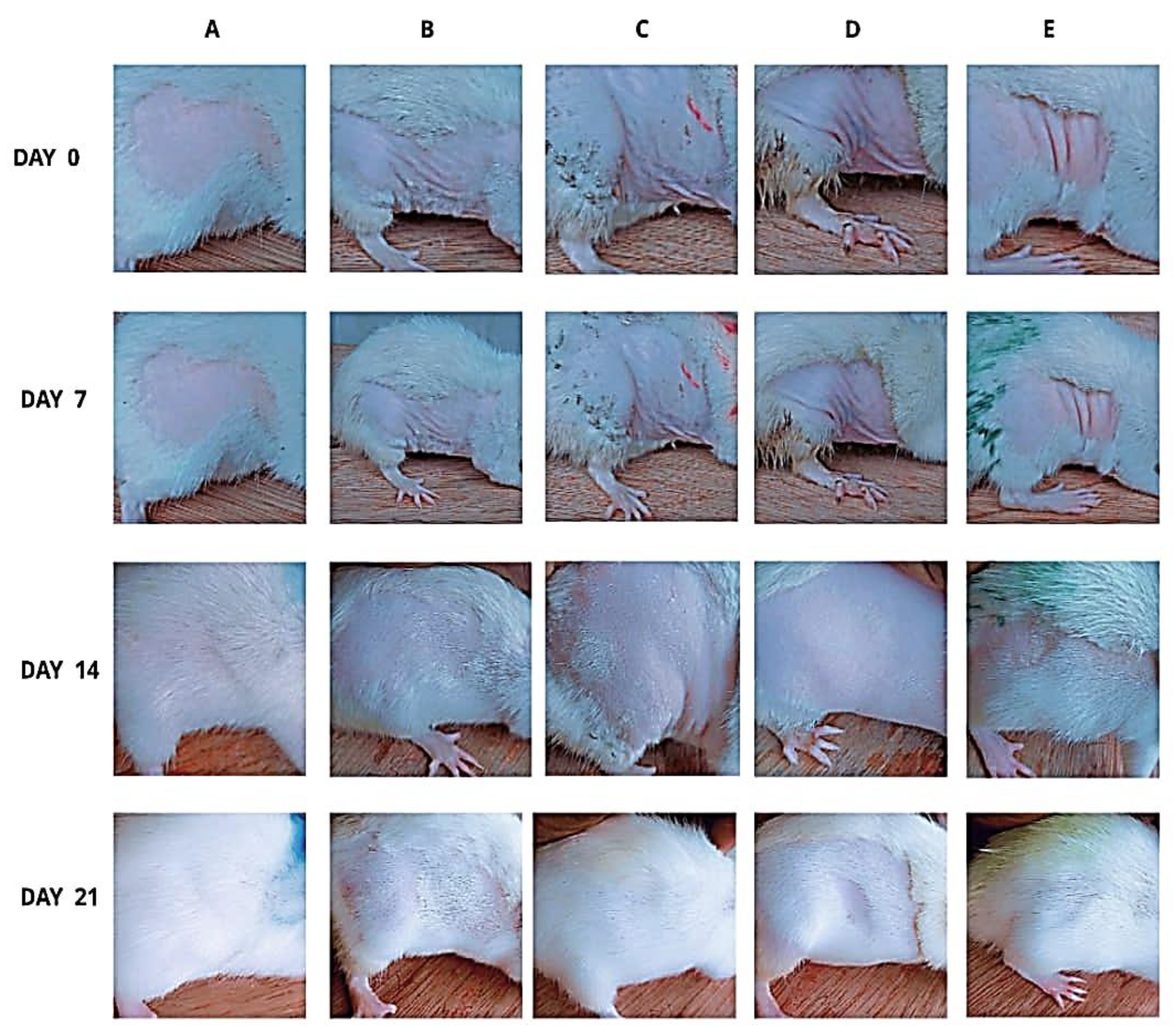 Preprints 183309 g003