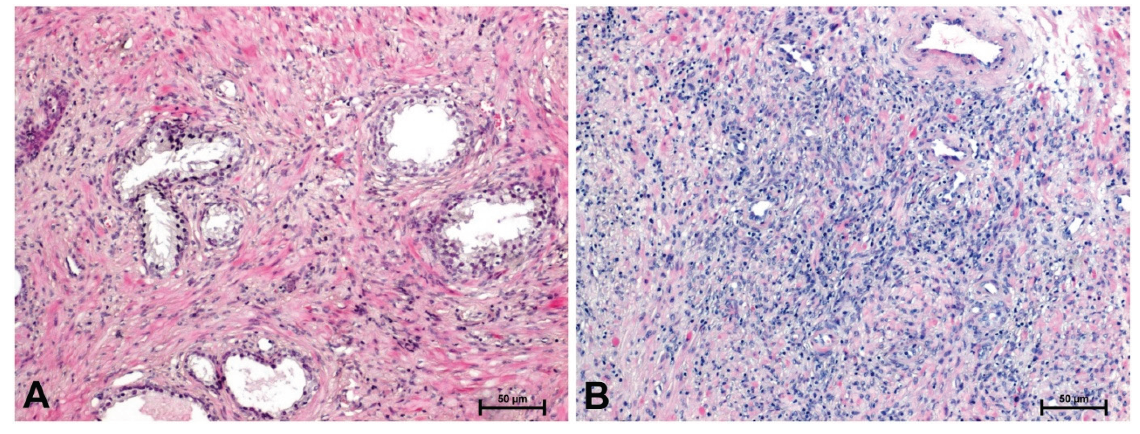 Preprints 178187 g001