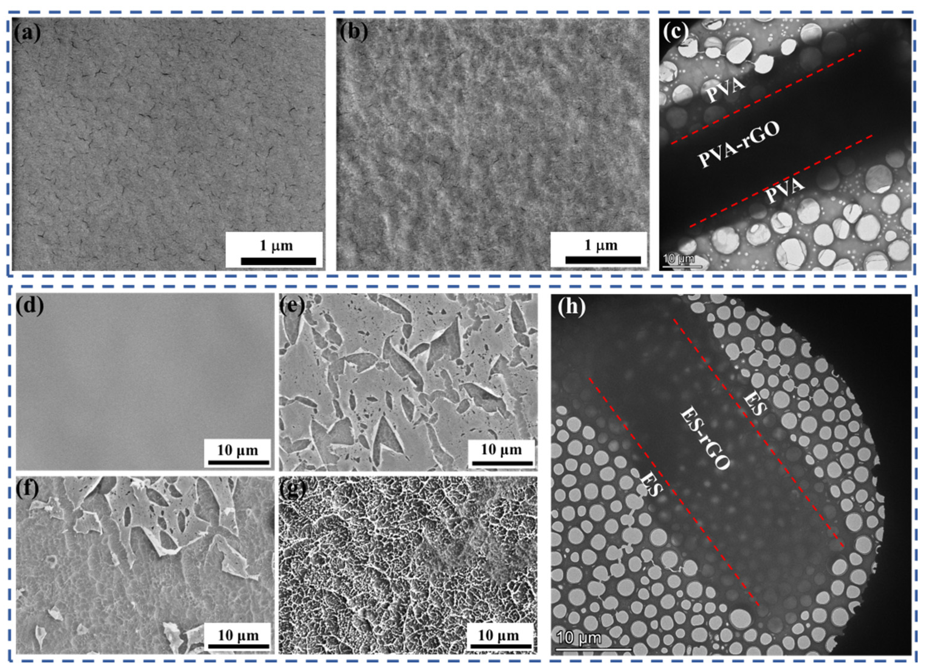 Preprints 177711 g004