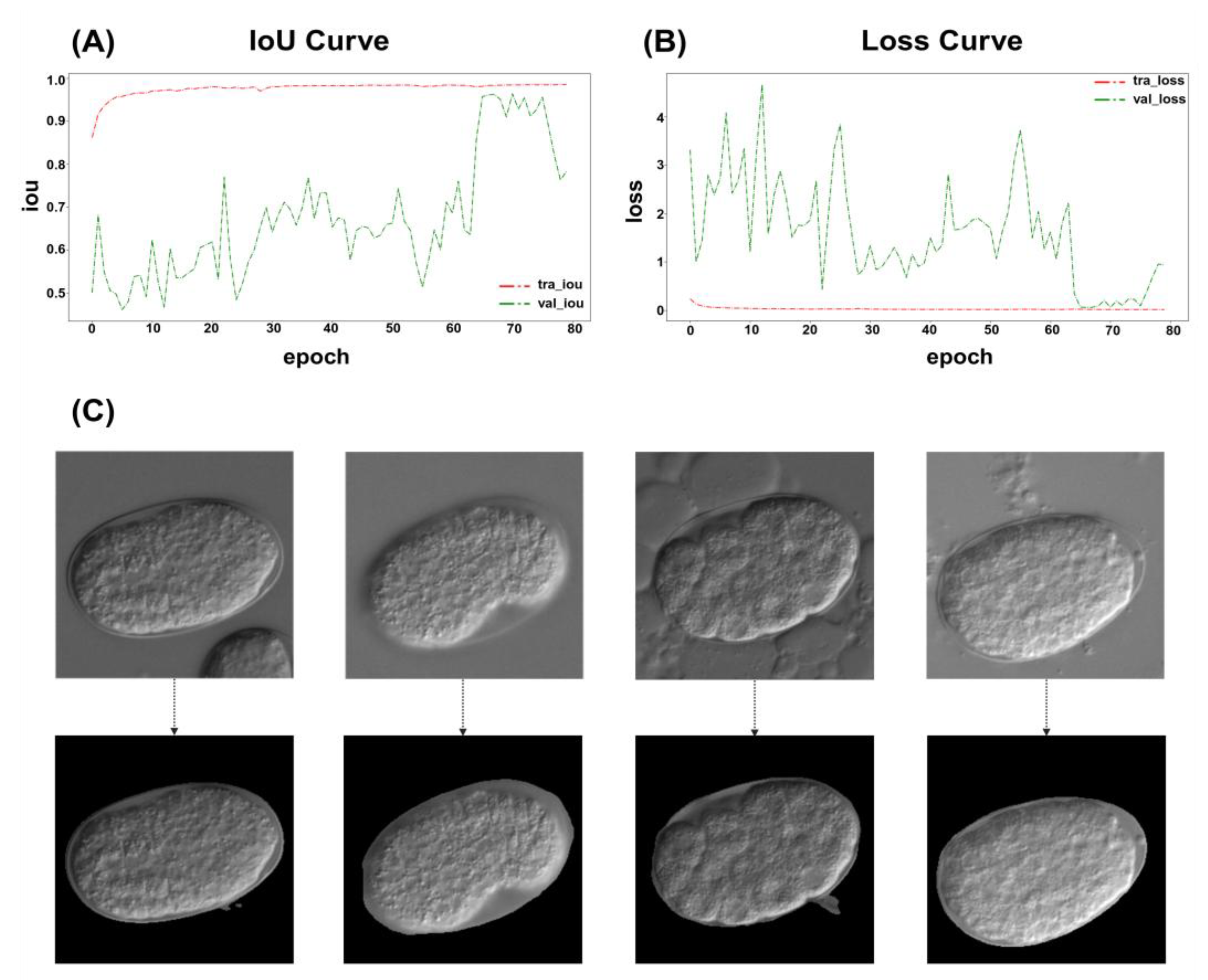 Preprints 166550 g002