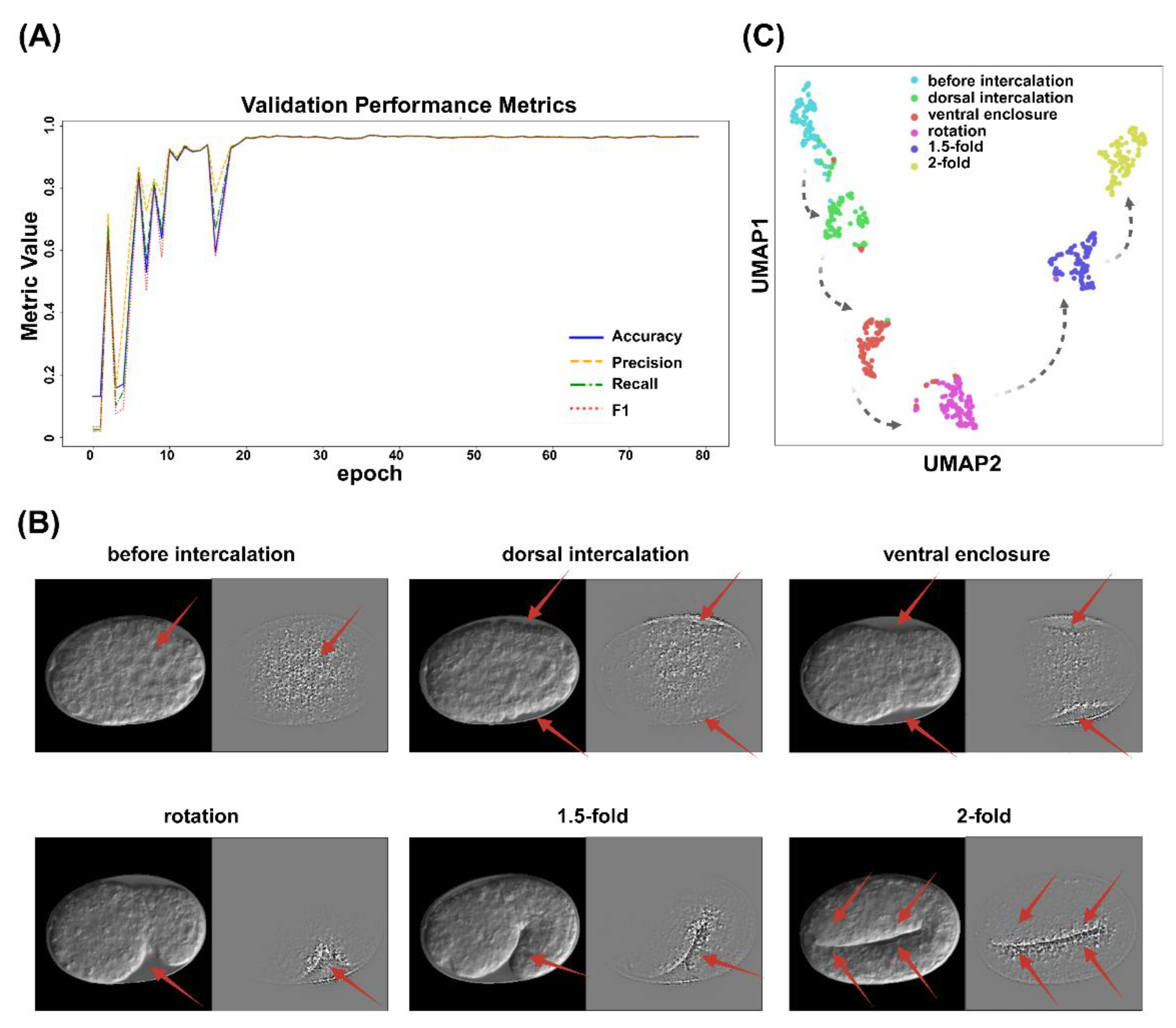 Preprints 166550 g003