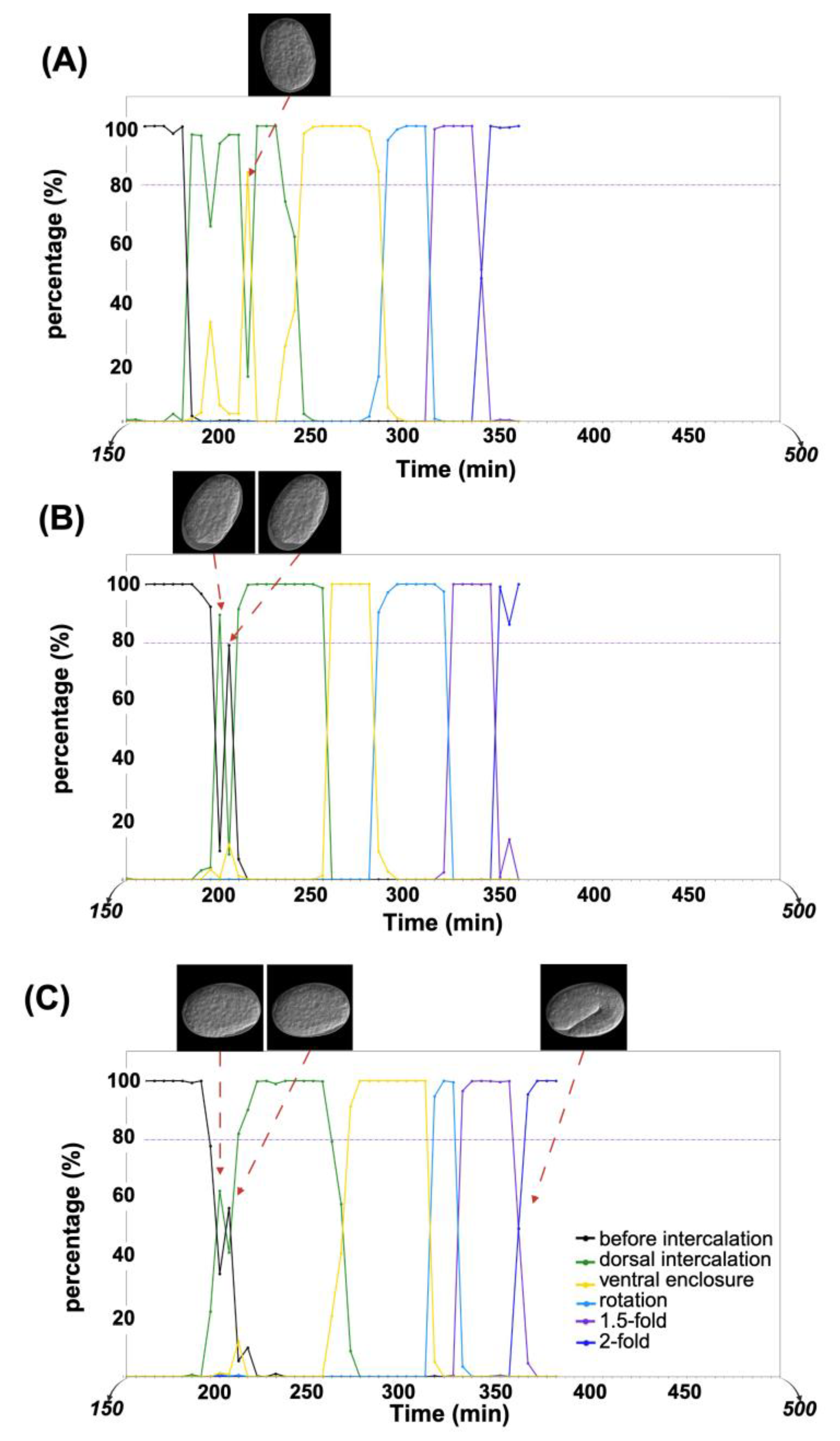 Preprints 166550 g004