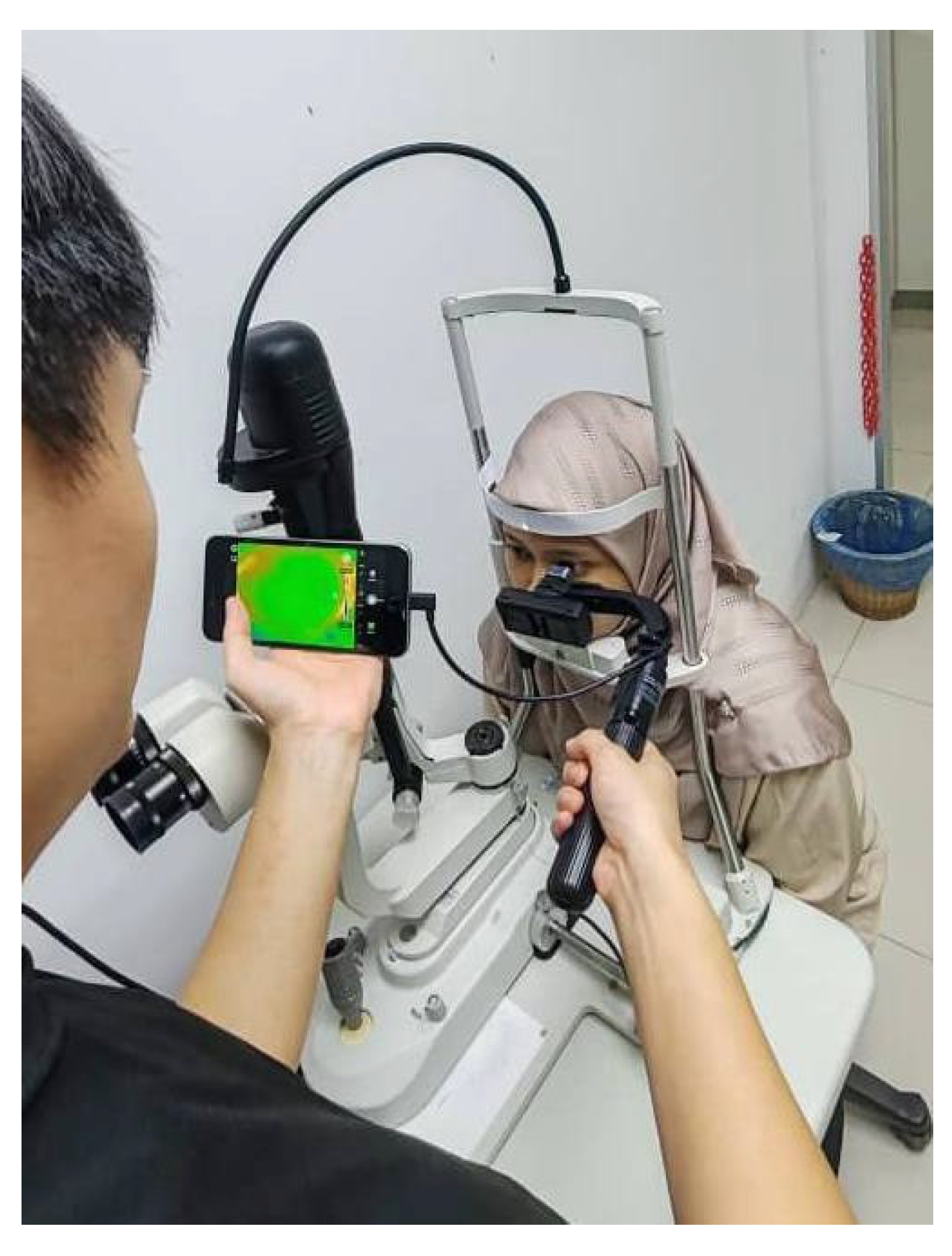 Preprints 157906 g002