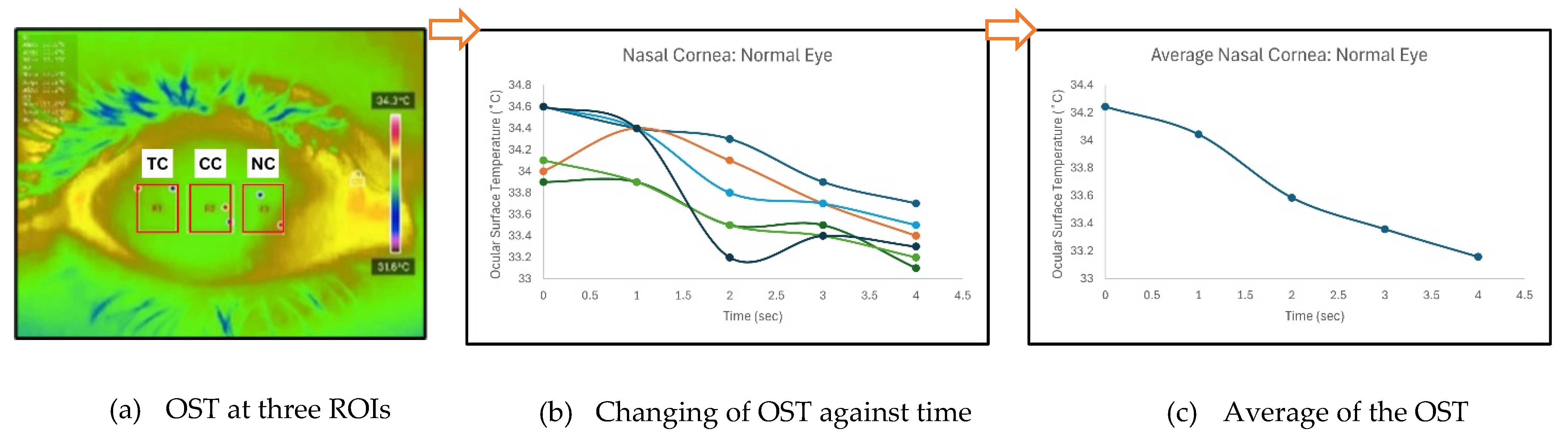 Preprints 157906 g003