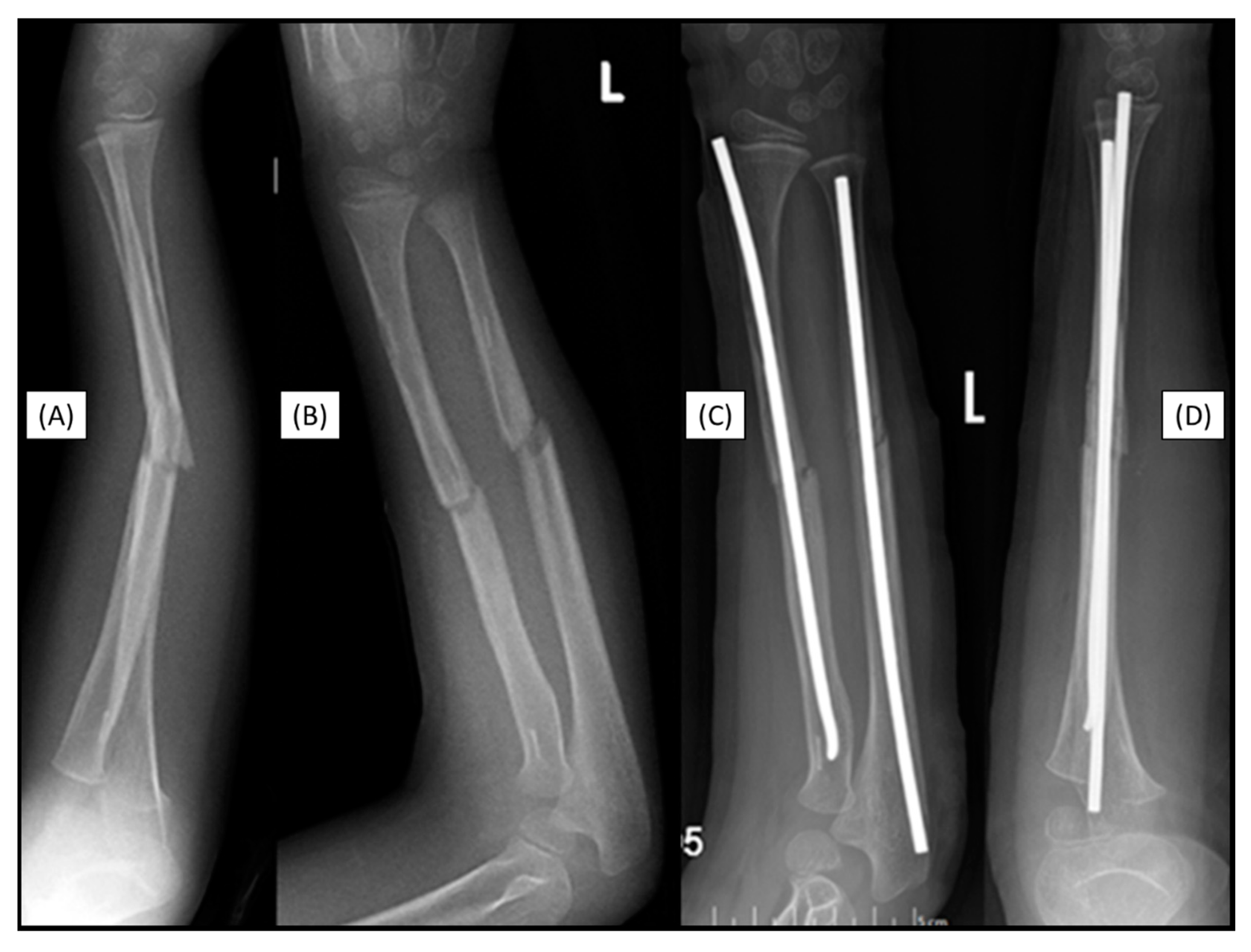 Preprints 149314 g007