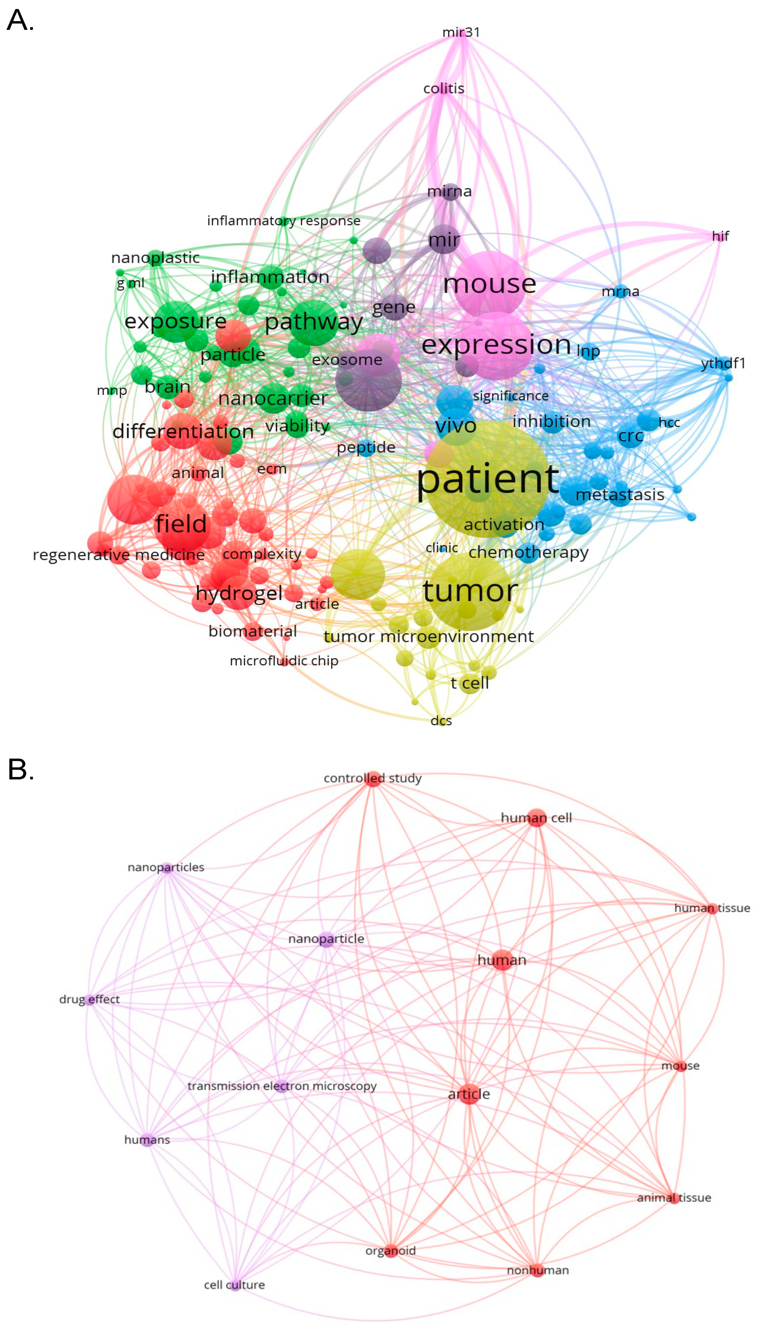 Preprints 175499 g006