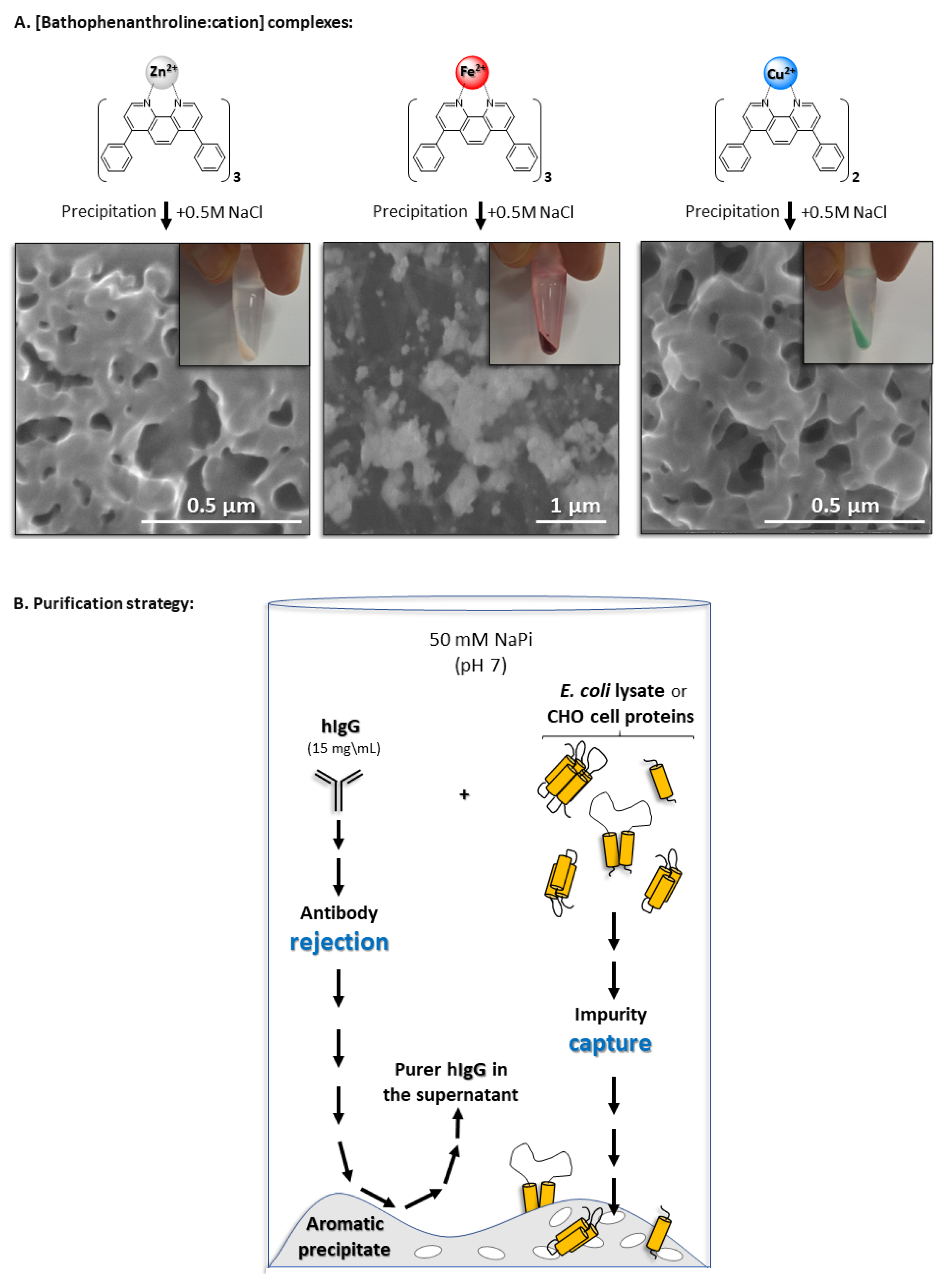 Preprints 152723 g001
