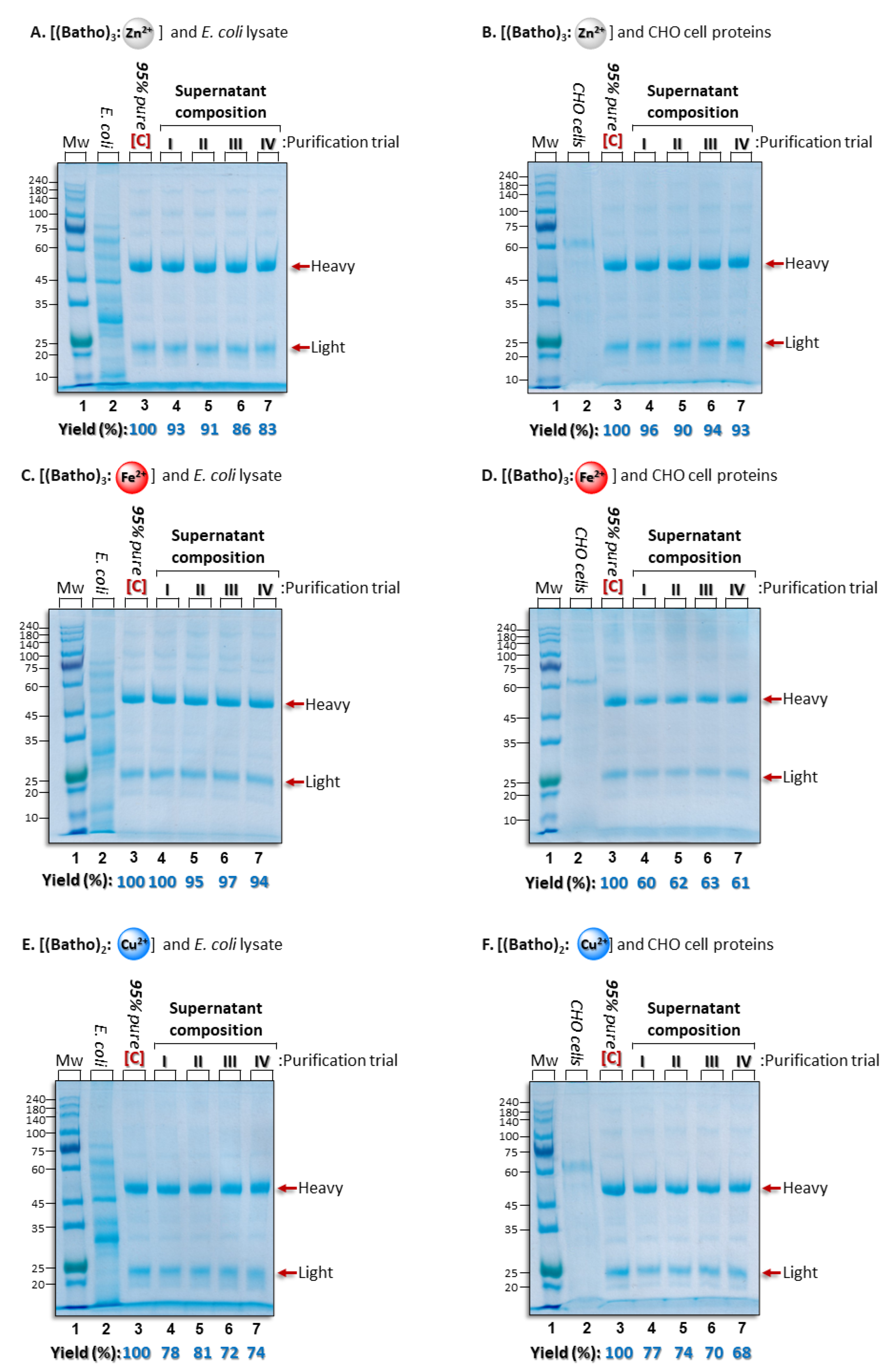 Preprints 152723 g002