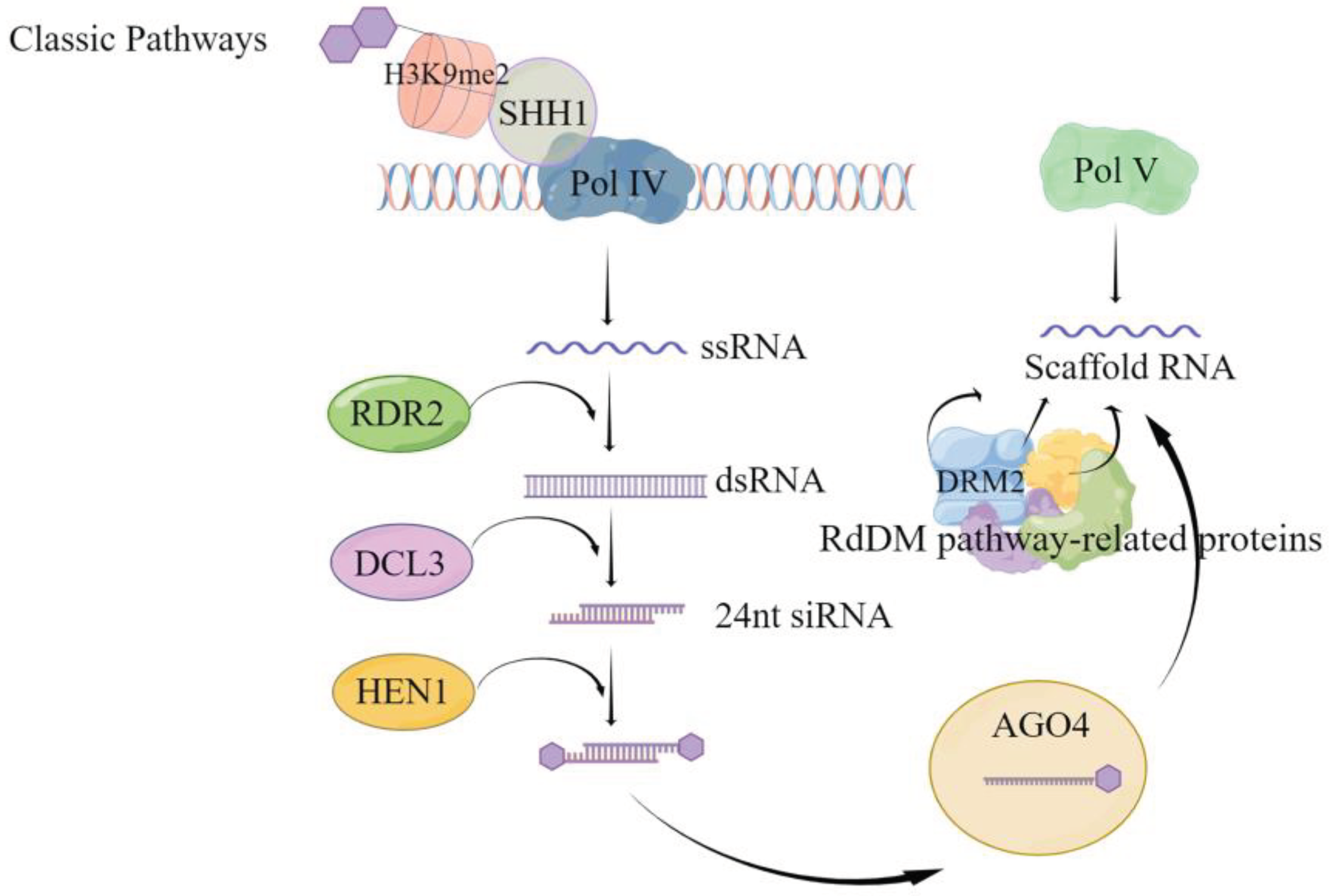Preprints 102009 g001