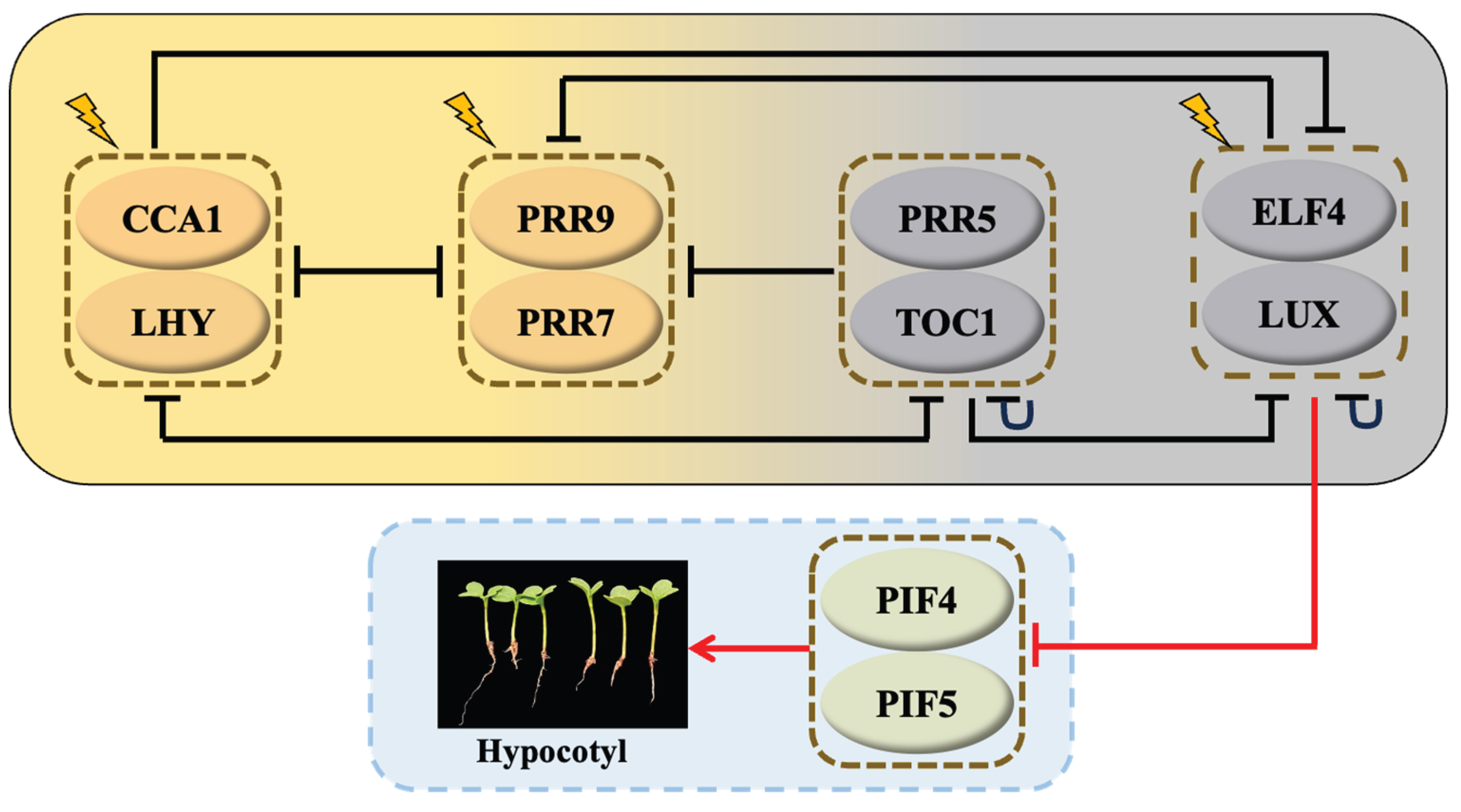 Preprints 218164 g001 Preprints 218164 g001