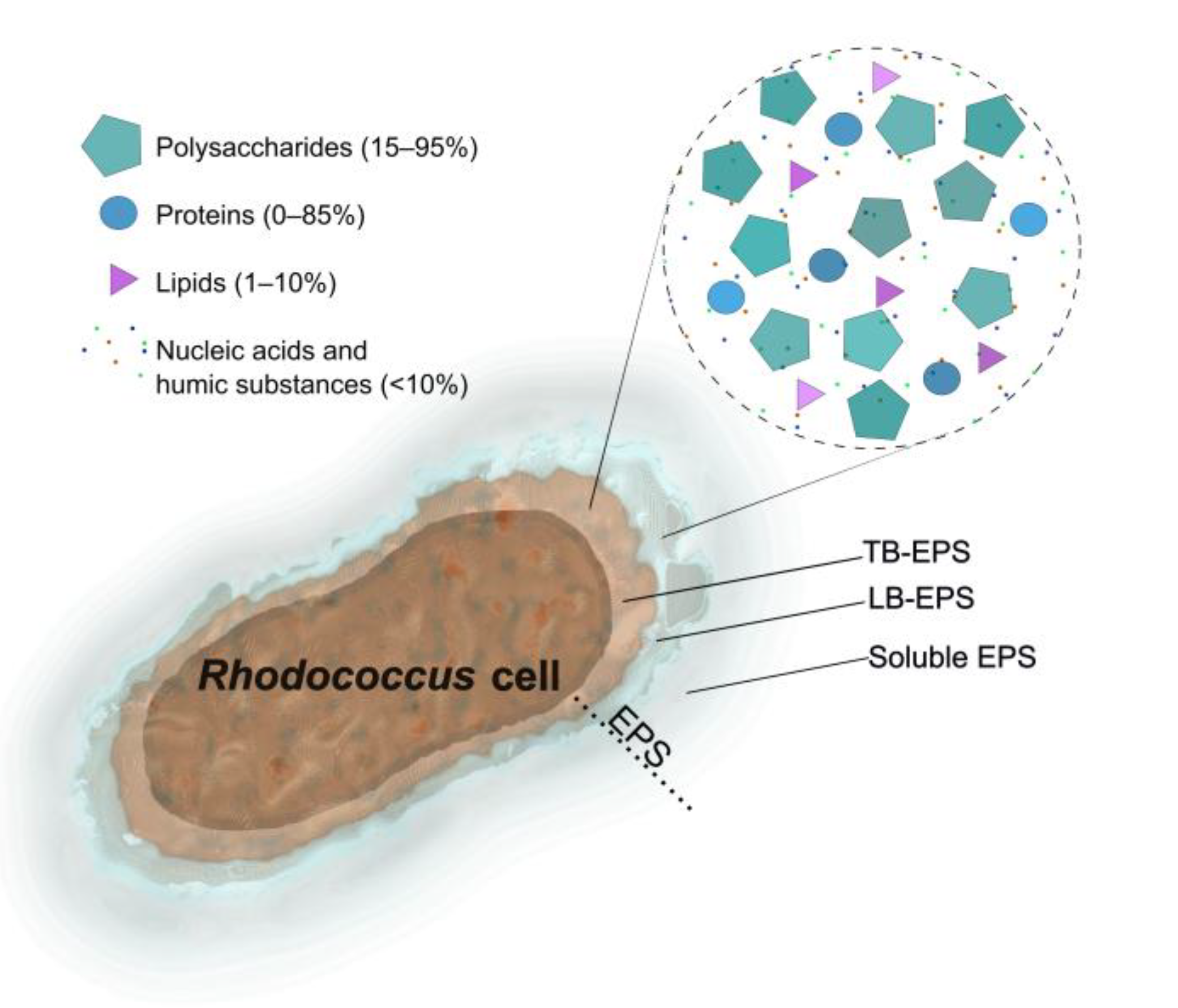 Preprints 187273 g001