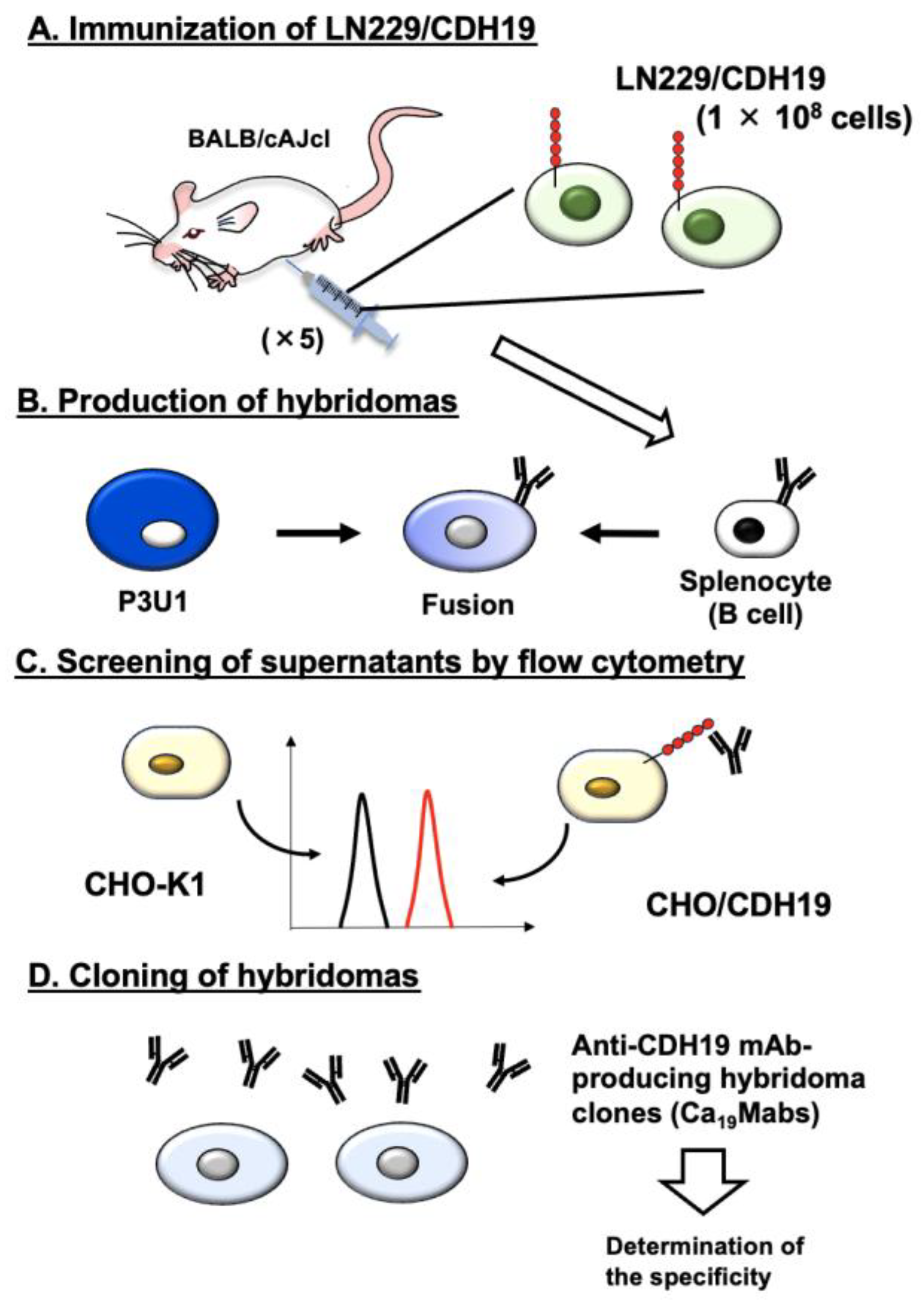 Preprints 193018 g001