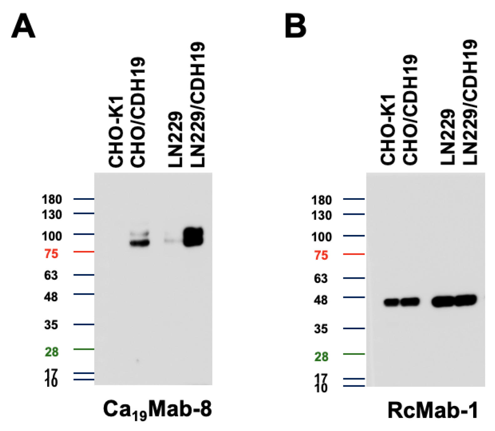 Preprints 193018 g004