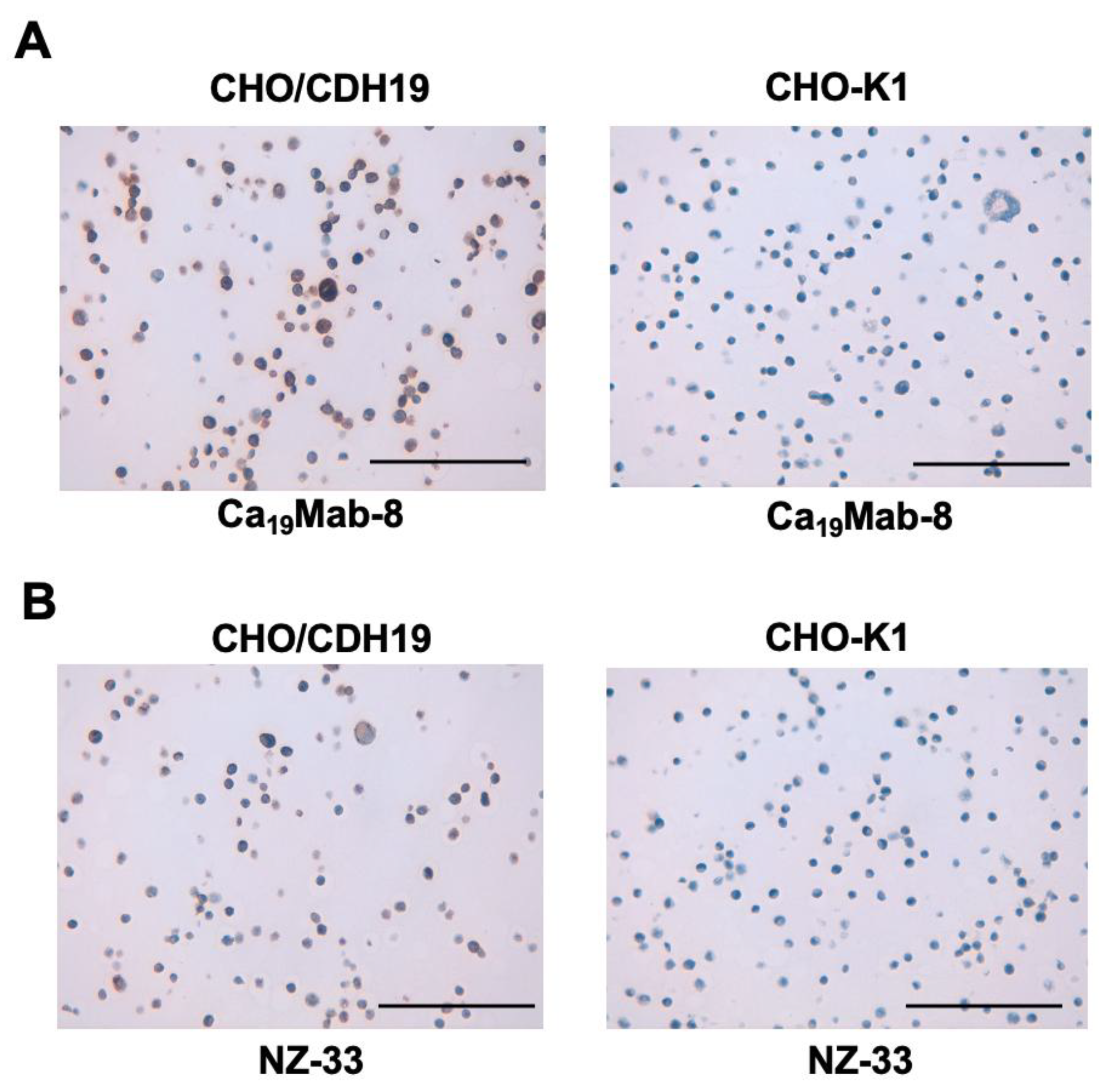 Preprints 193018 g005
