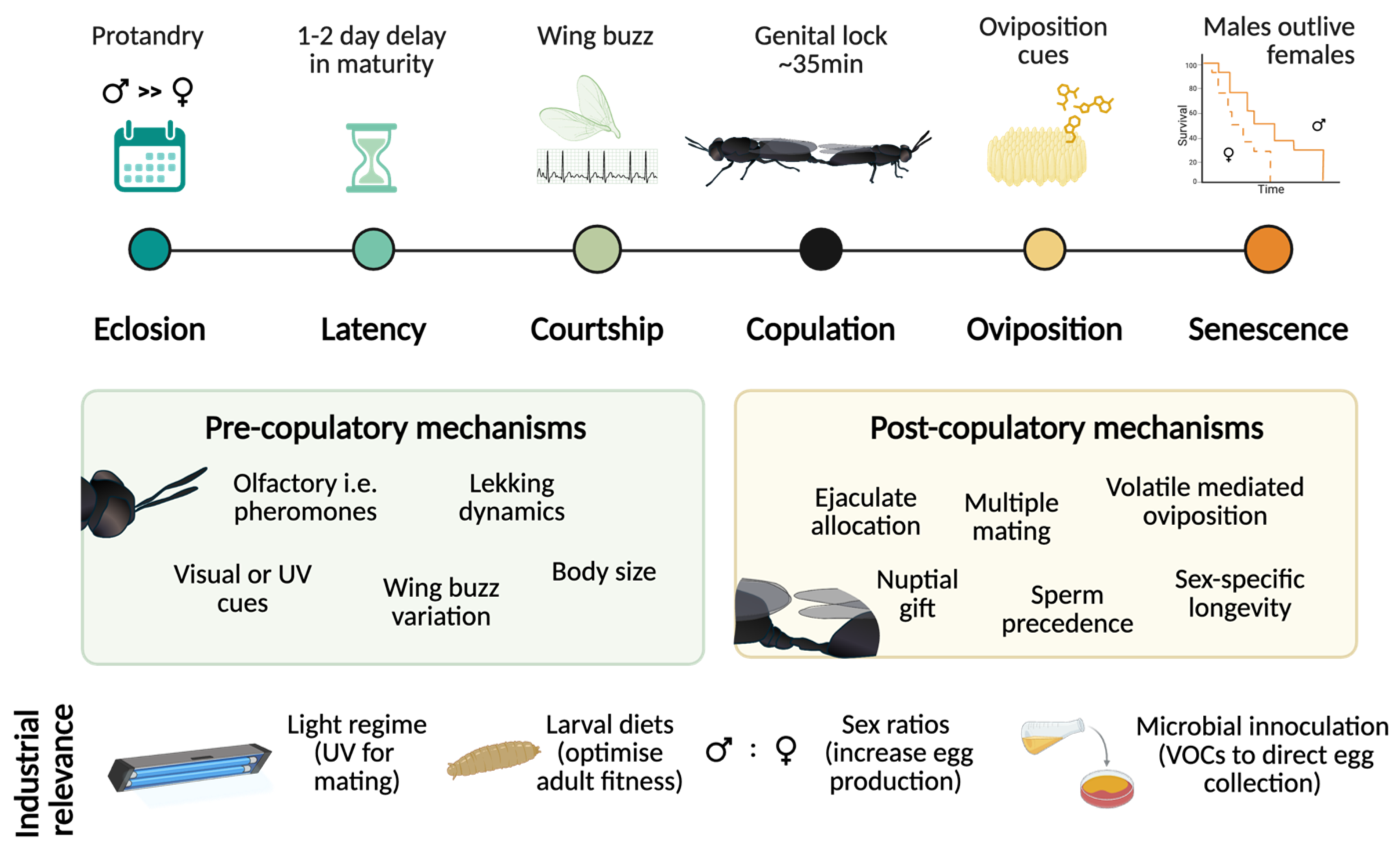 Preprints 206050 g001