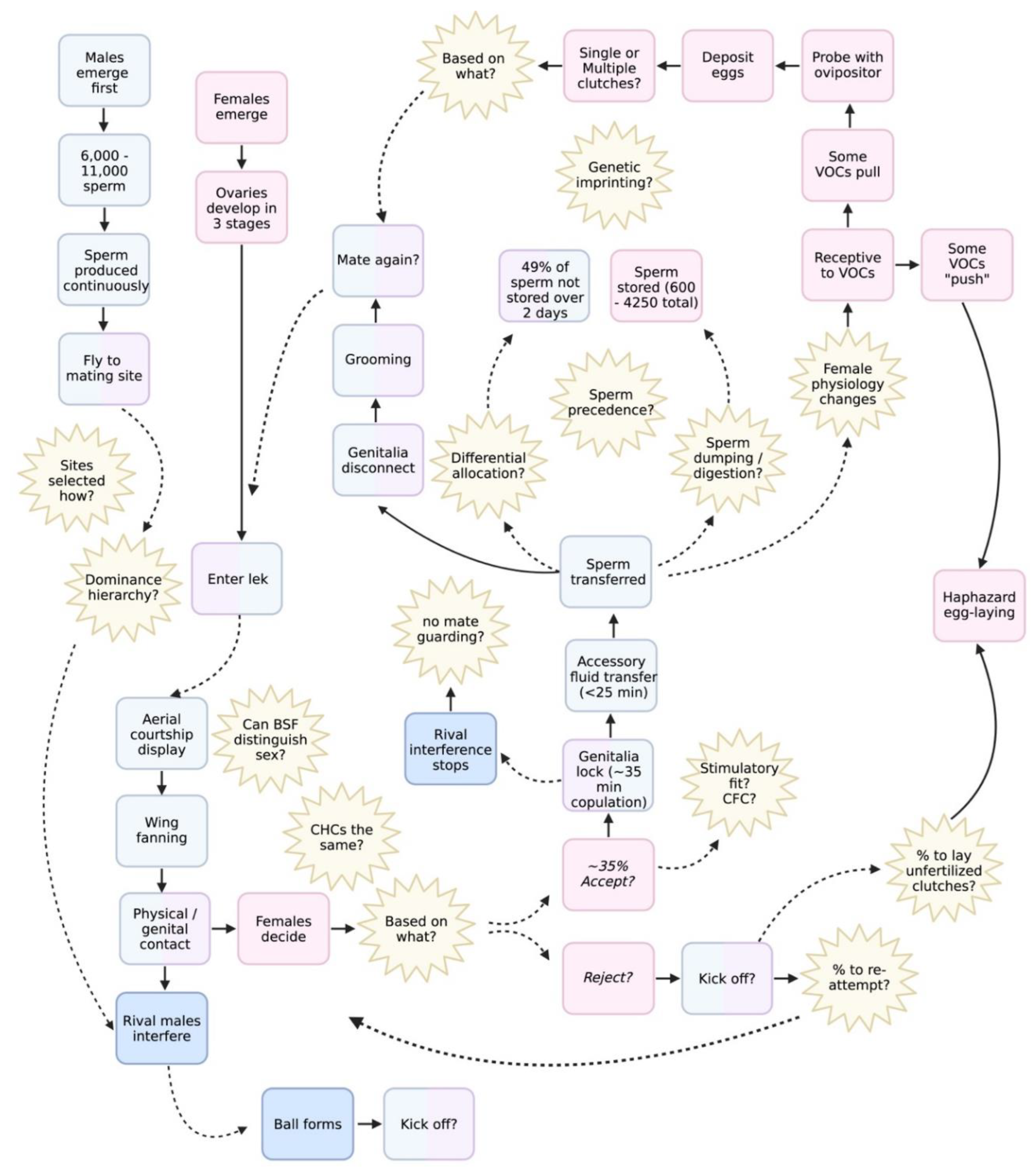 Preprints 206050 g002