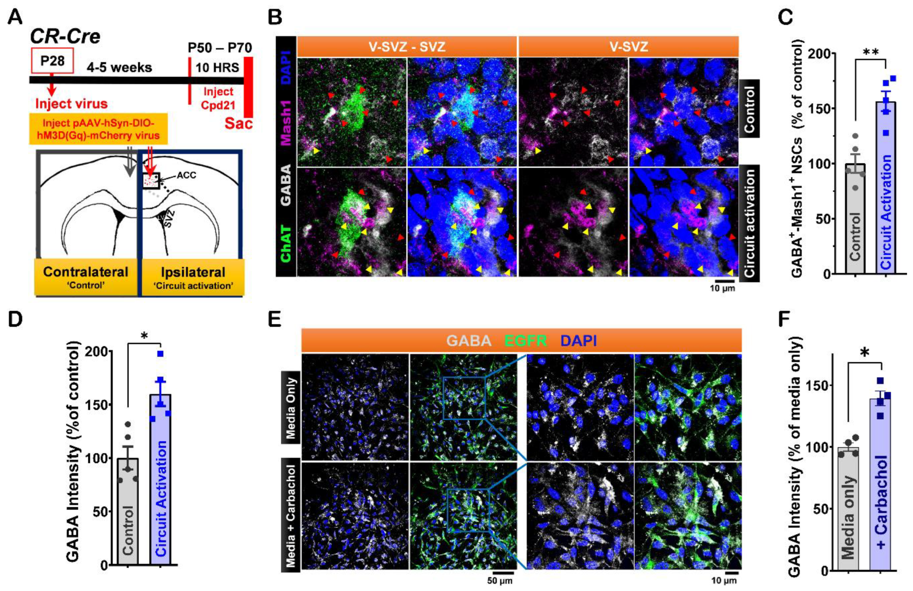 Preprints 145897 g002