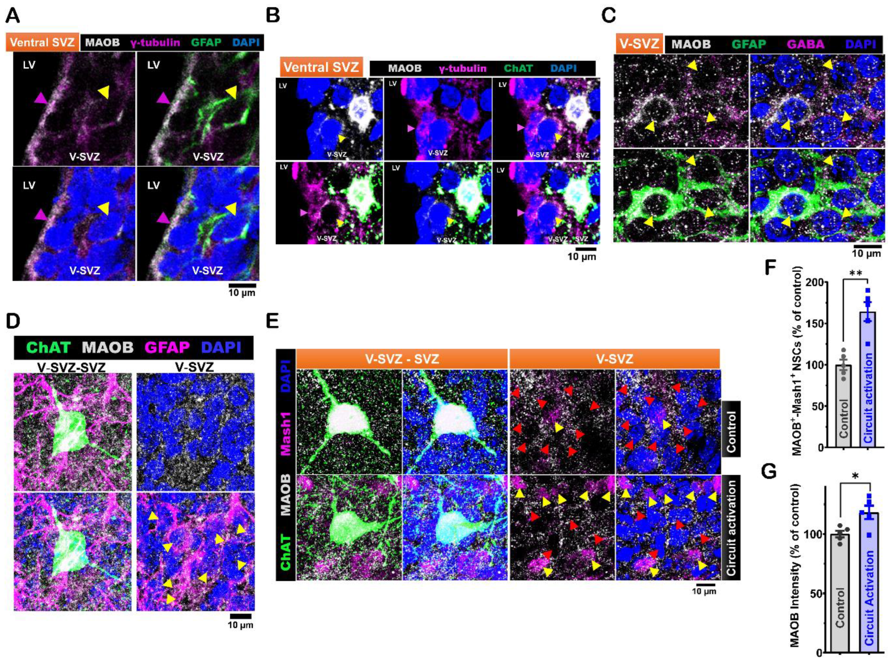 Preprints 145897 g003