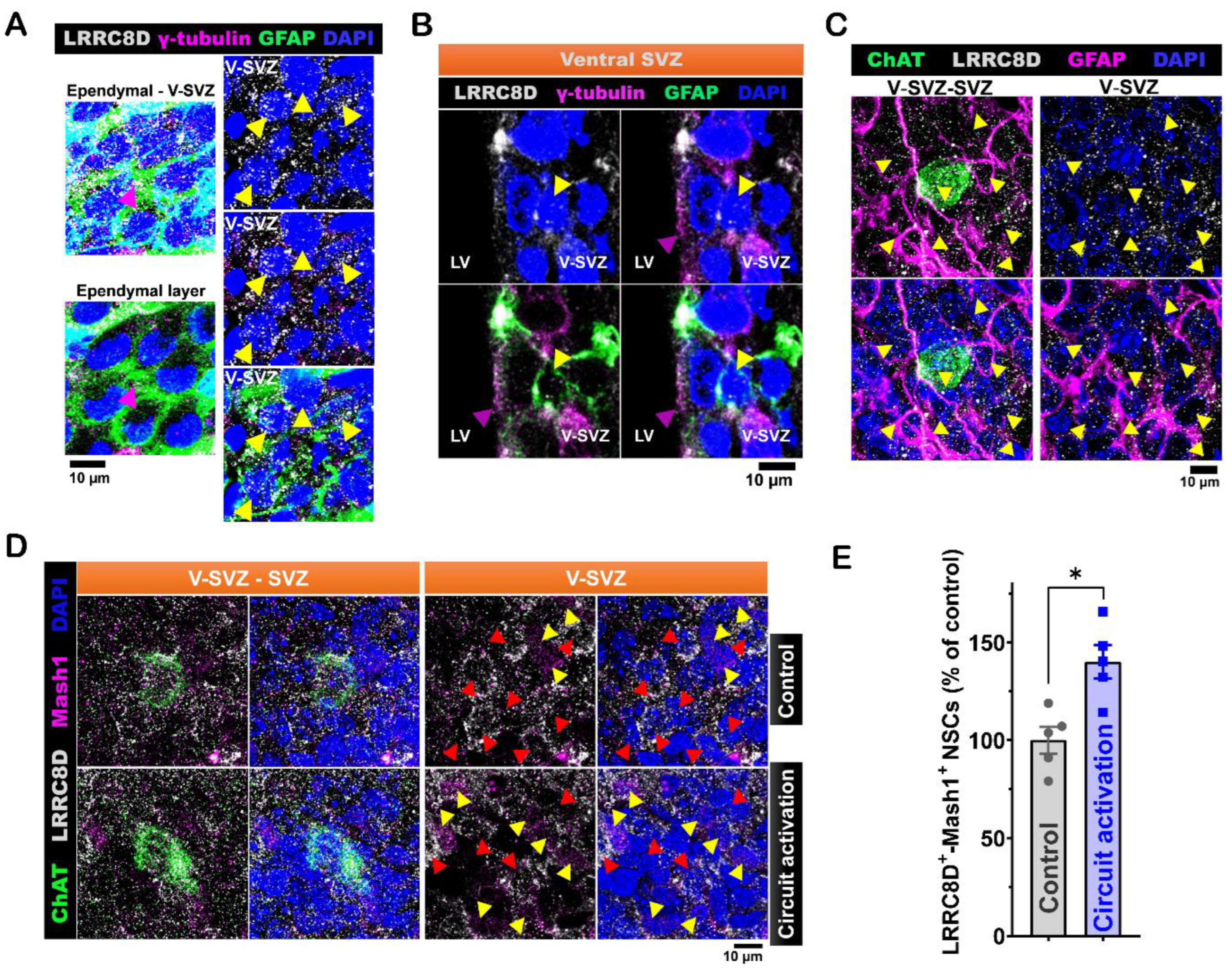 Preprints 145897 g004