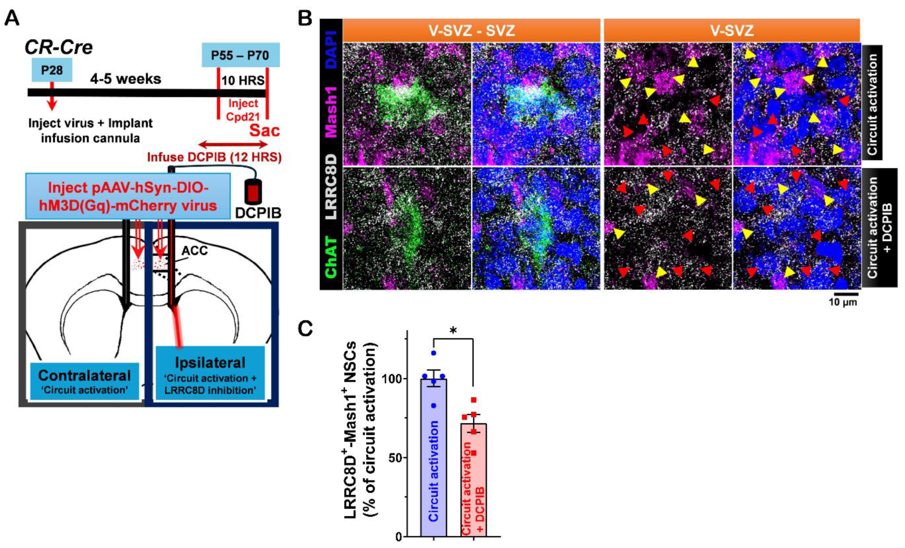 Preprints 145897 g005