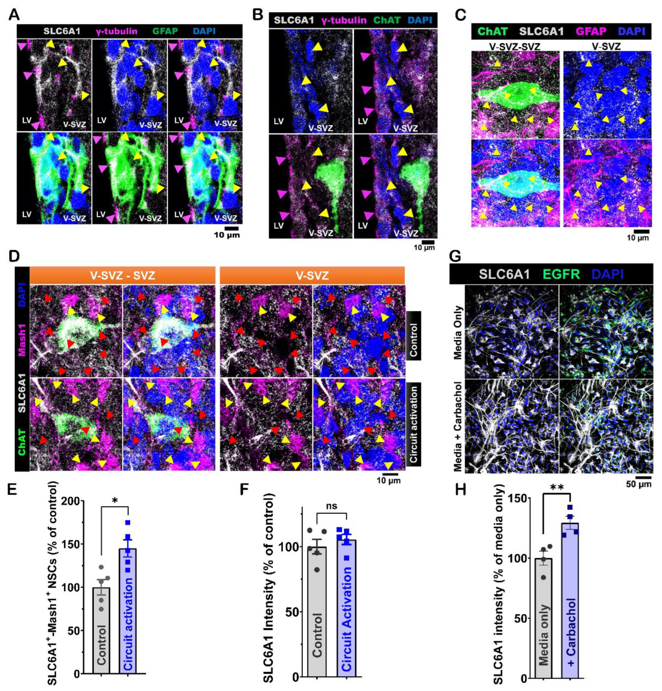 Preprints 145897 g006