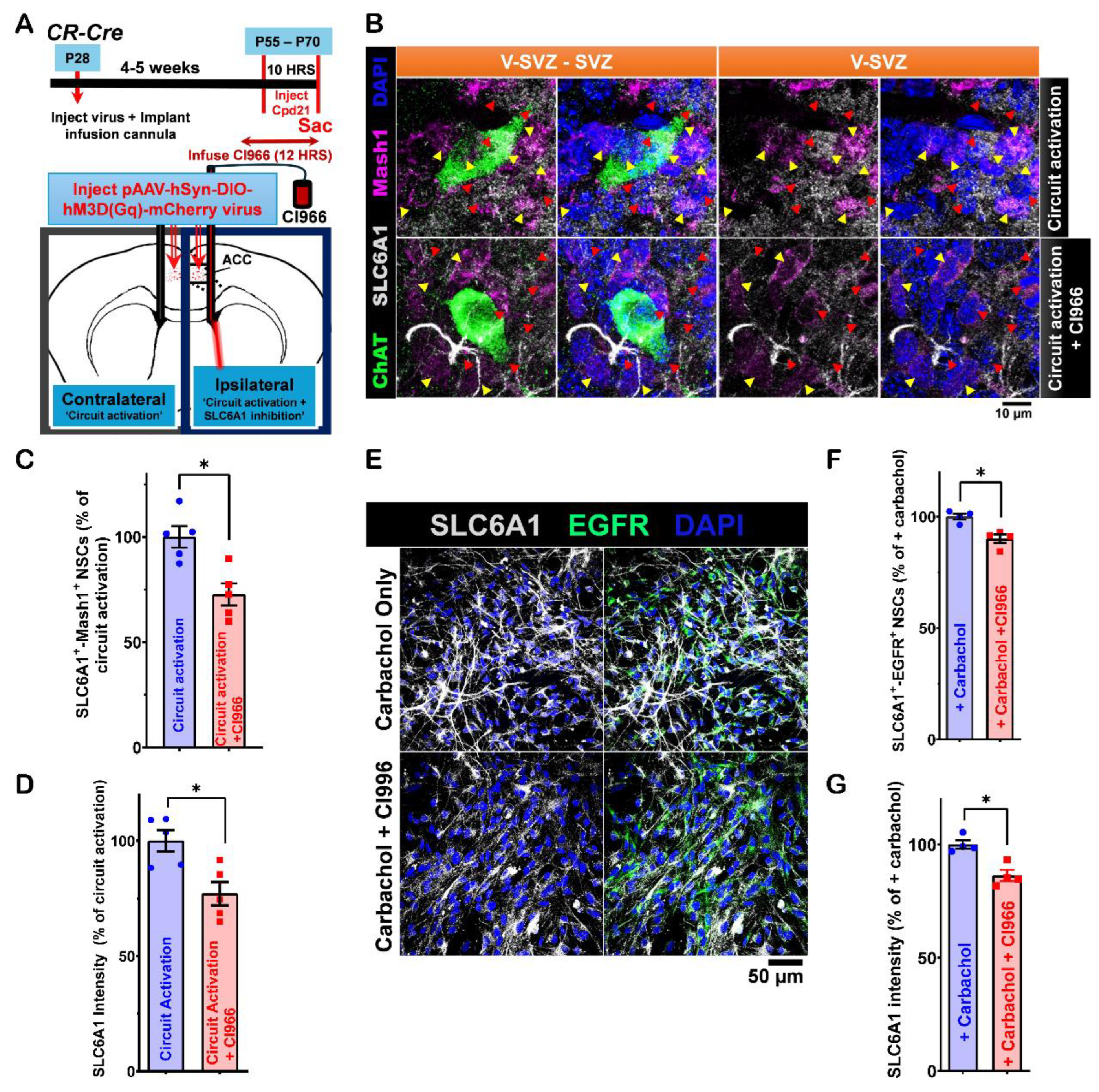 Preprints 145897 g007