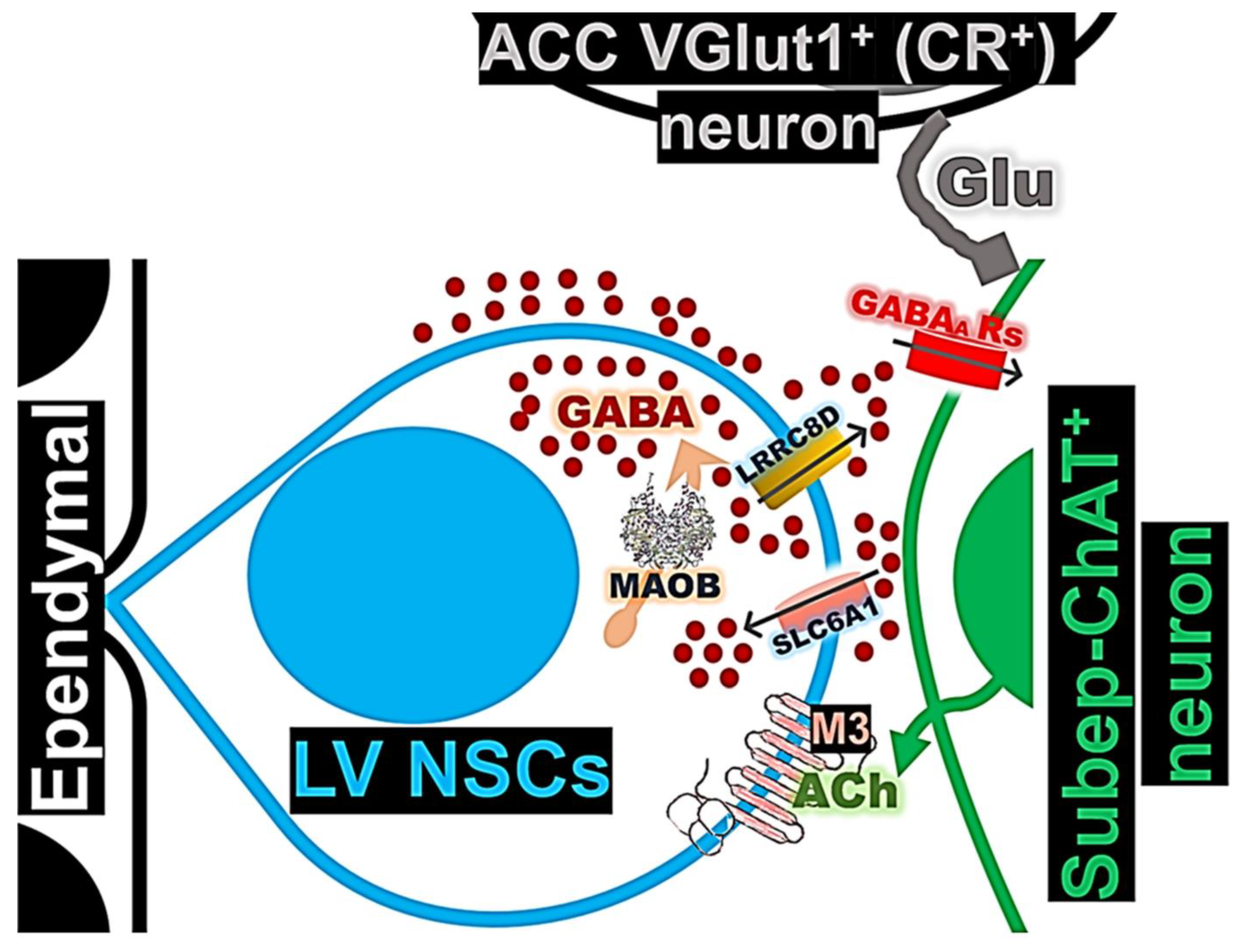 Preprints 145897 g008