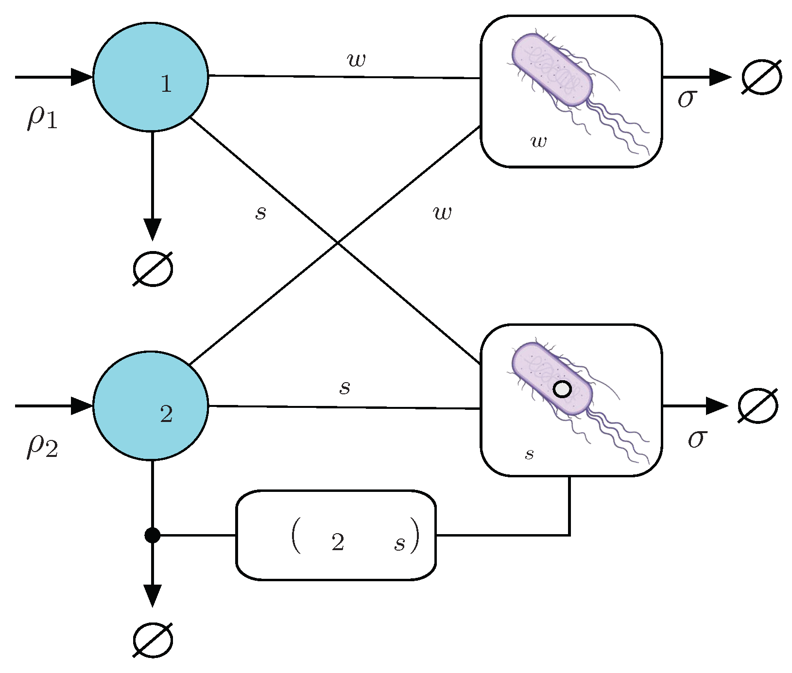 Preprints 74457 g002