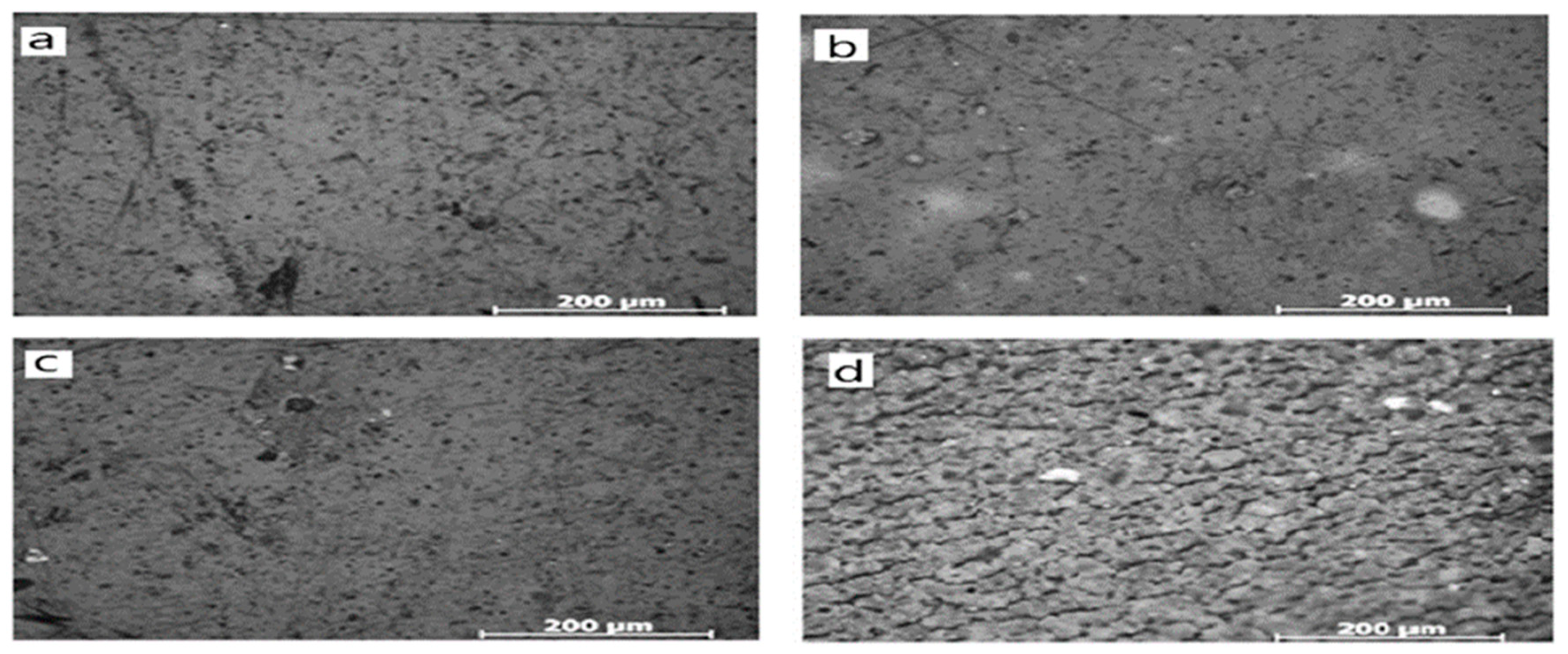 Preprints 80058 g004